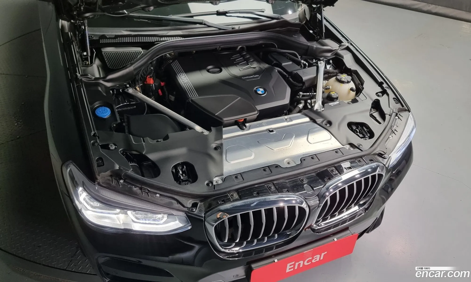 BMW X4 Ii G02 xDrive20I M Sports 2021 - фотография 932193