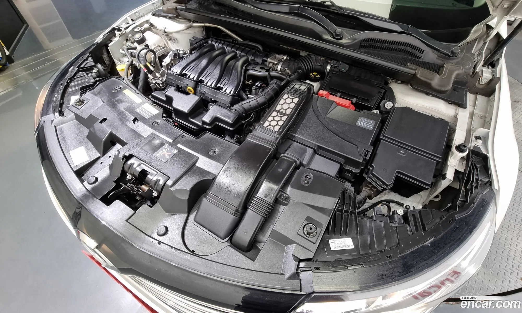 Renault Samsung Sm6 20 Lpe Se Rental Car 2017 - фотография 4086650