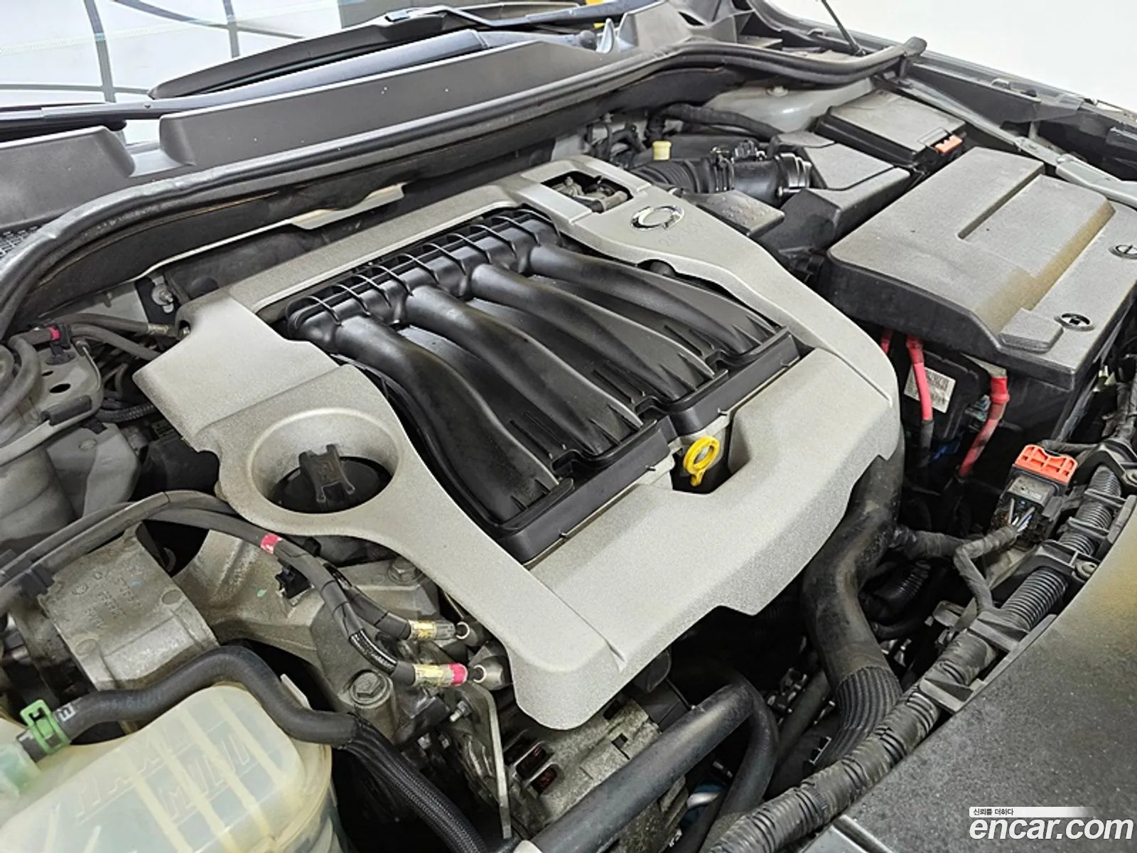 Renault Samsung Sm5 Lpli Le 2011 - фотография 4457579