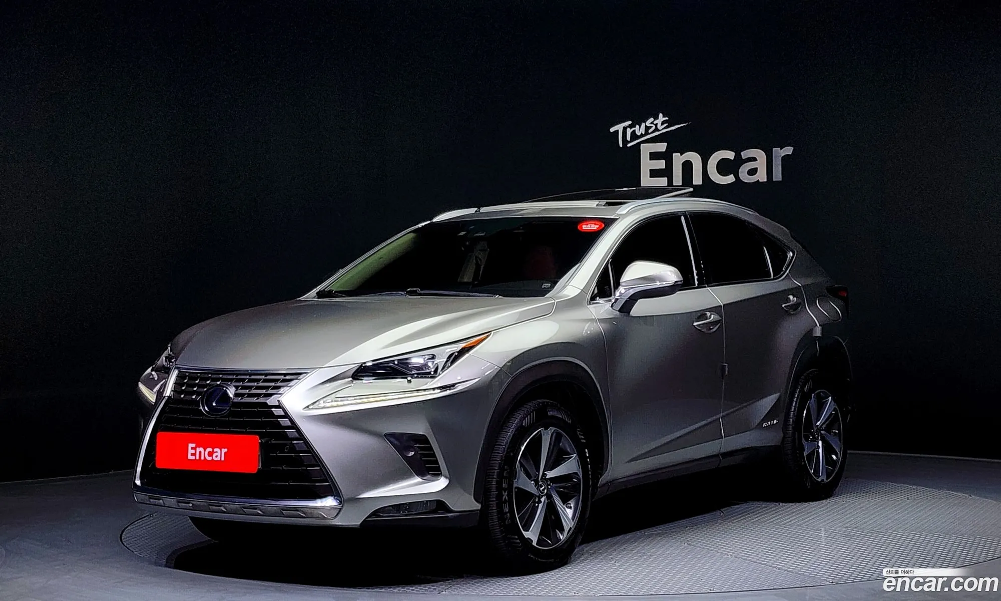 Lexus Nx I Supreme 2020 - фотография 3738464