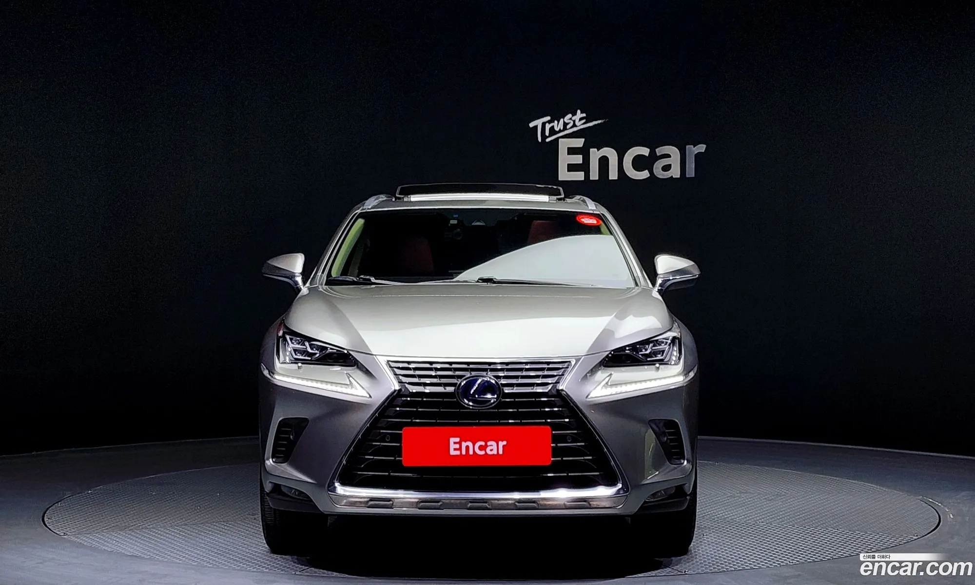 Lexus Nx I Supreme 2020 - фотография 3738466
