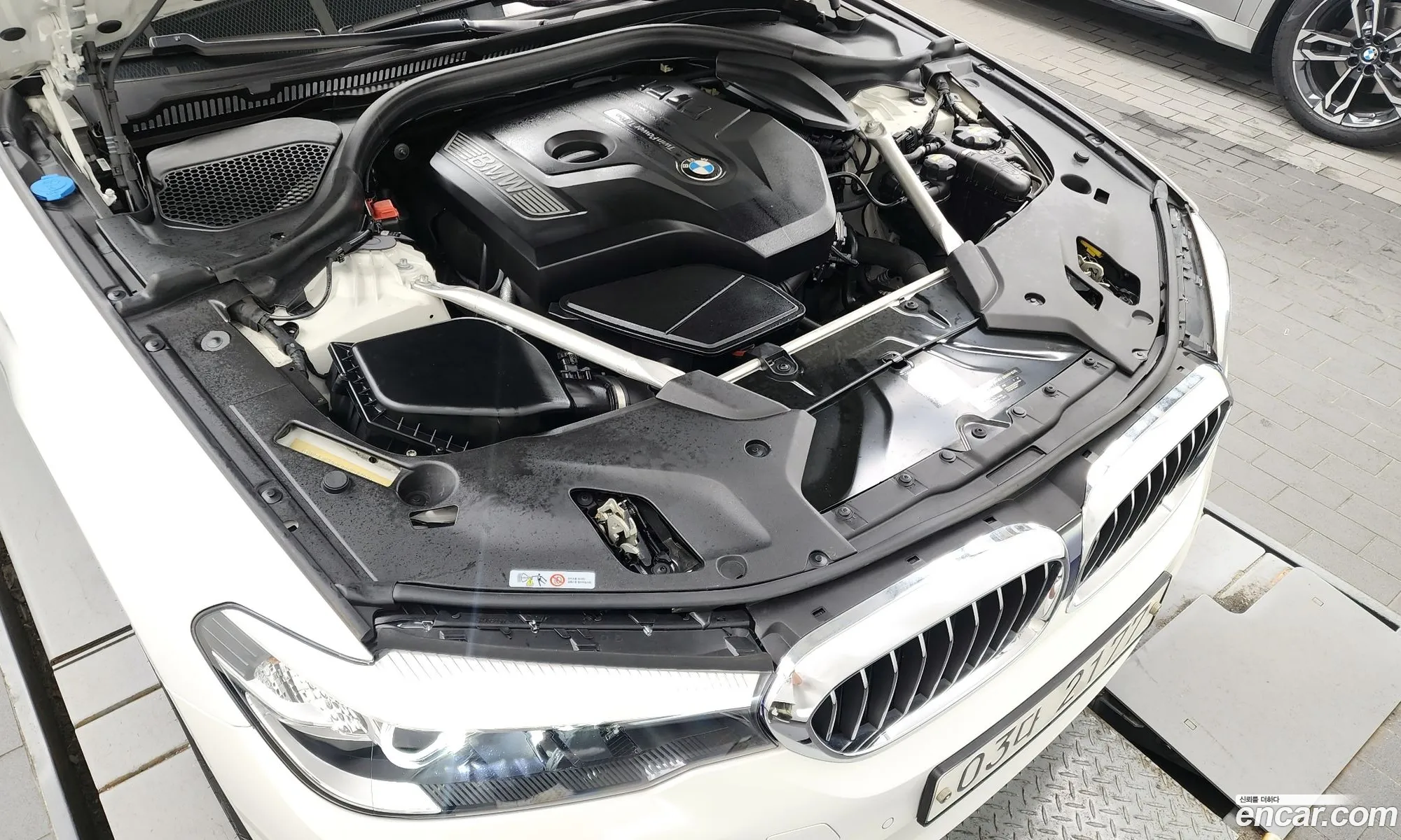 BMW 5Er Vii G30G31 520I Luxury 2019 - фотография 16504312