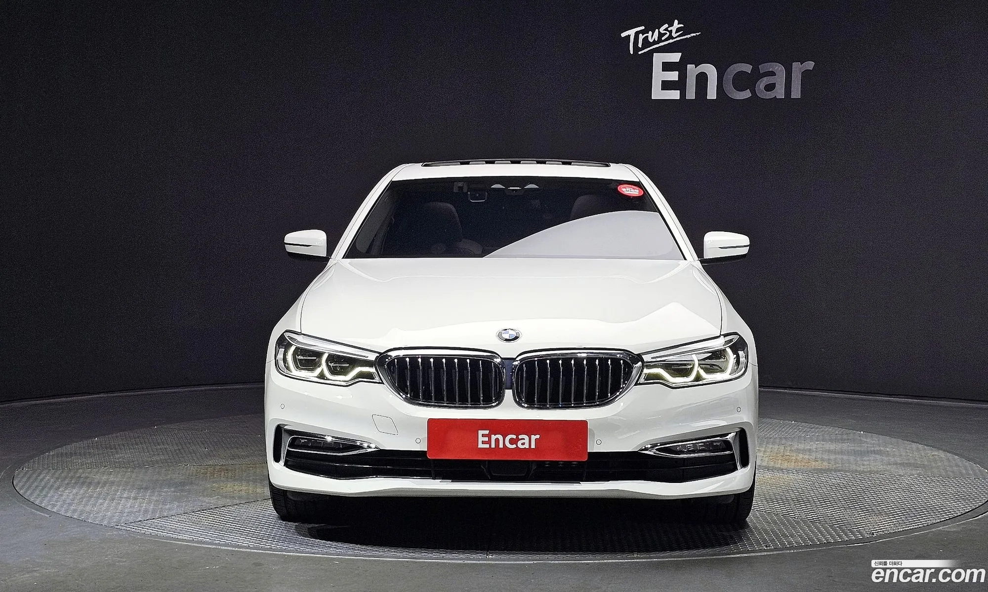 BMW 5Er Vii G30G31 520D Luxury Plus 2019 - фотография 16504333