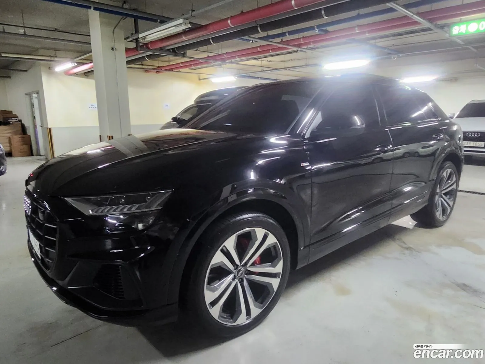 Audi Q8 55 Tfsi Quattro Premium 2023 - фотография 8864133