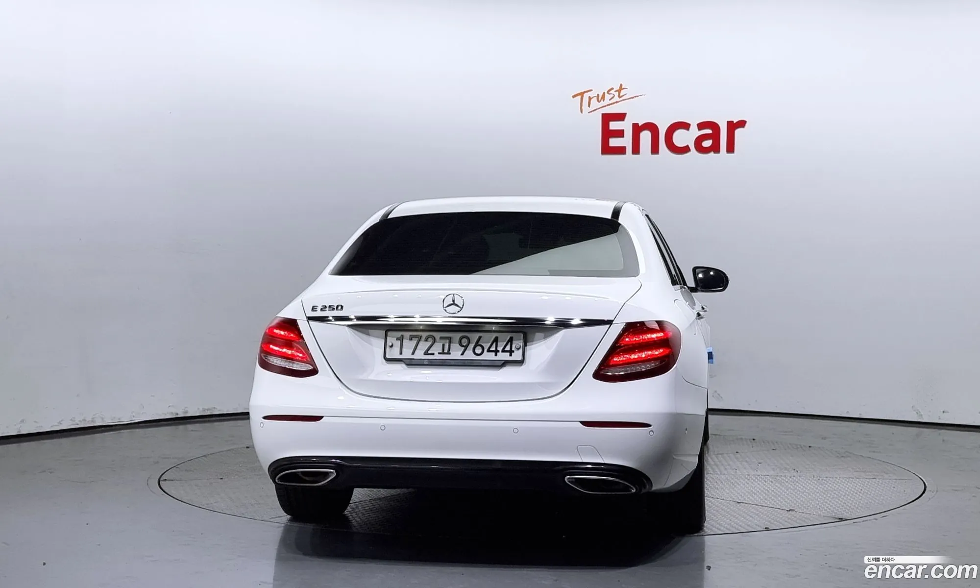 Mercedes-Benz E-Klasse V W213 S213 C238 E250 Avantgarde 2019 - фотография 13811879