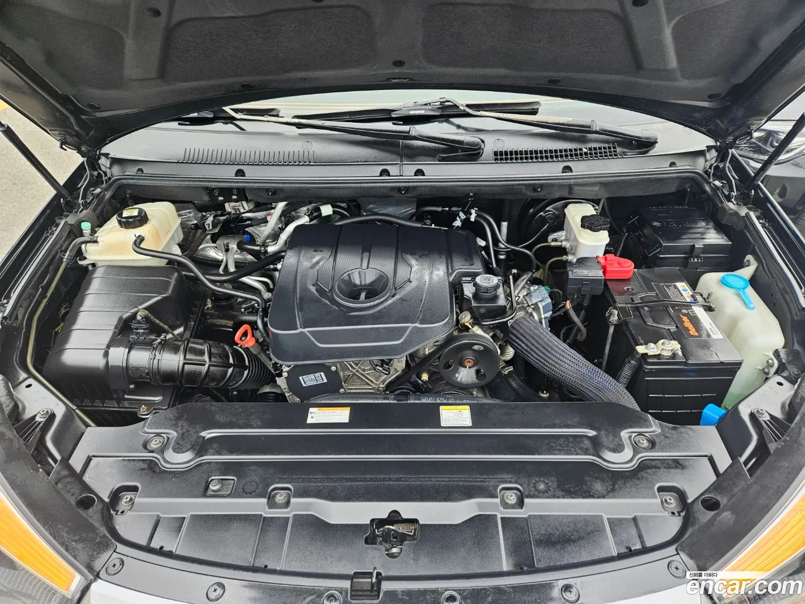 Korex Auto Trade - фотография 7772177