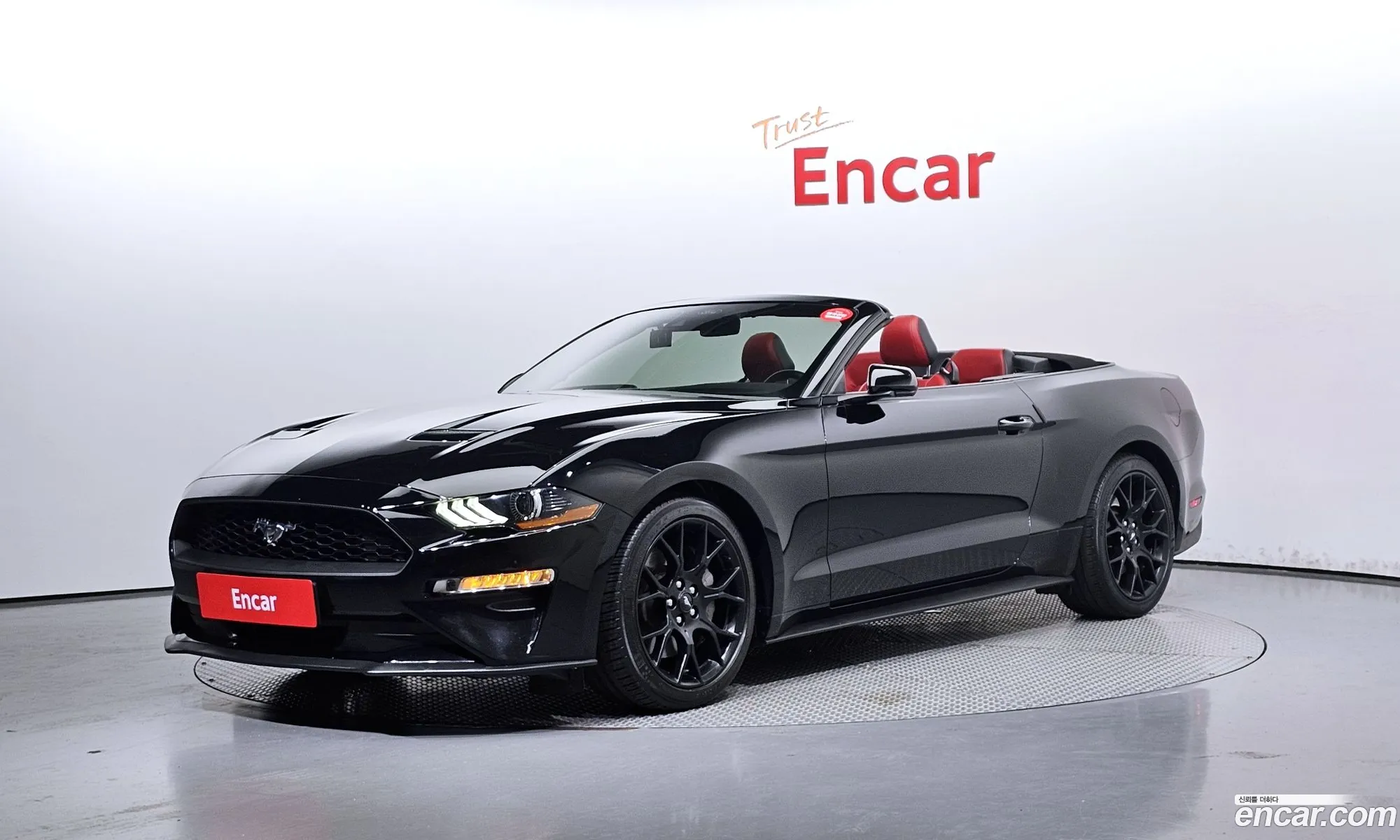 Ford Mustang Vi Convertible 2021 - фотография 3895340