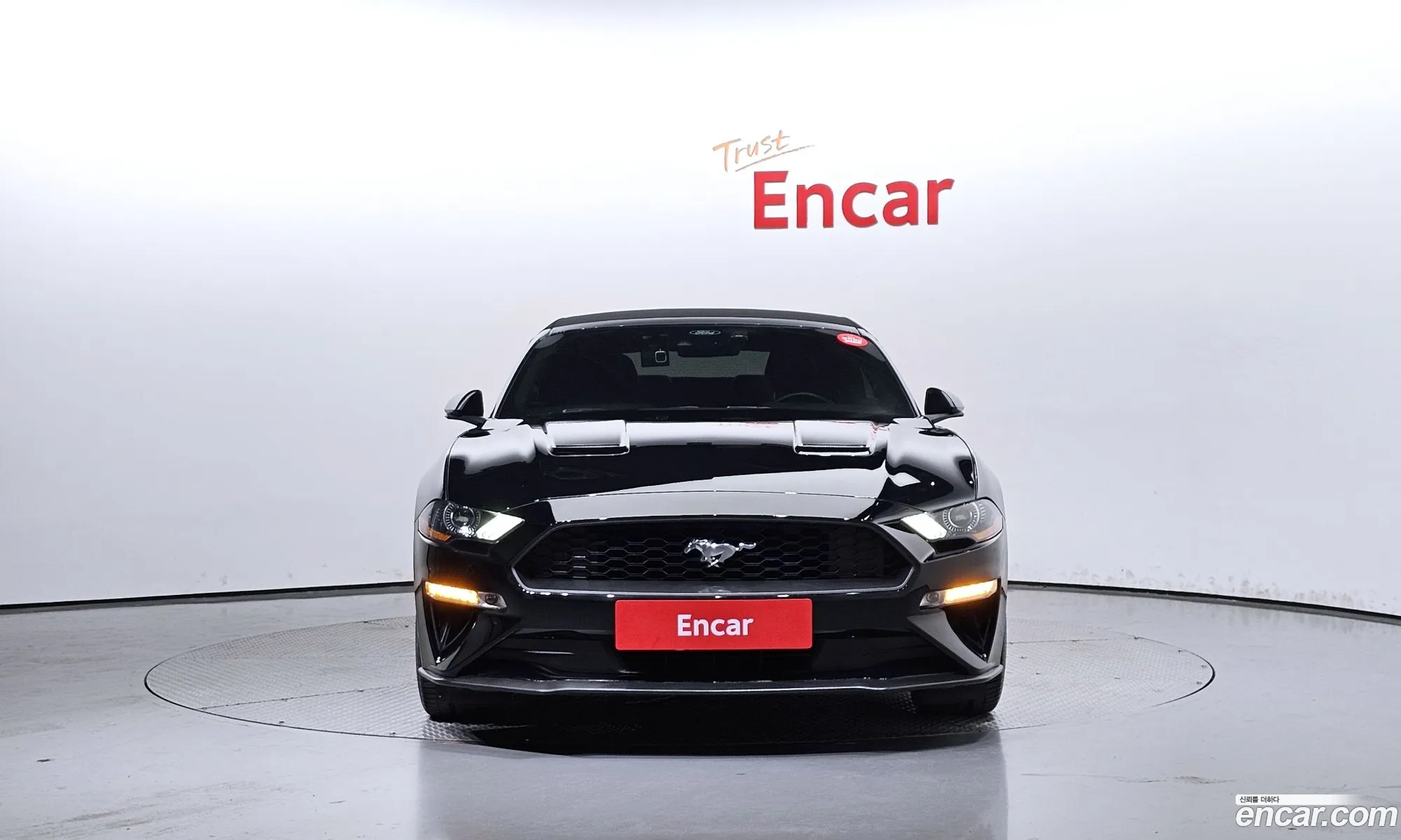 Ford Mustang Vi Convertible 2021 - фотография 3895342