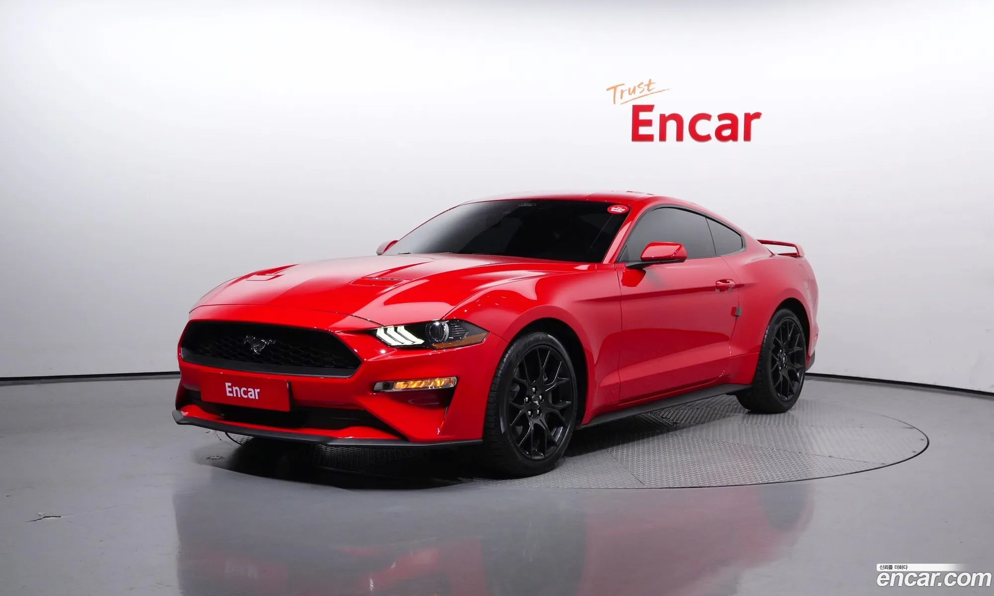Ford Mustang Vi Coupe 2022 - фотография 15170047