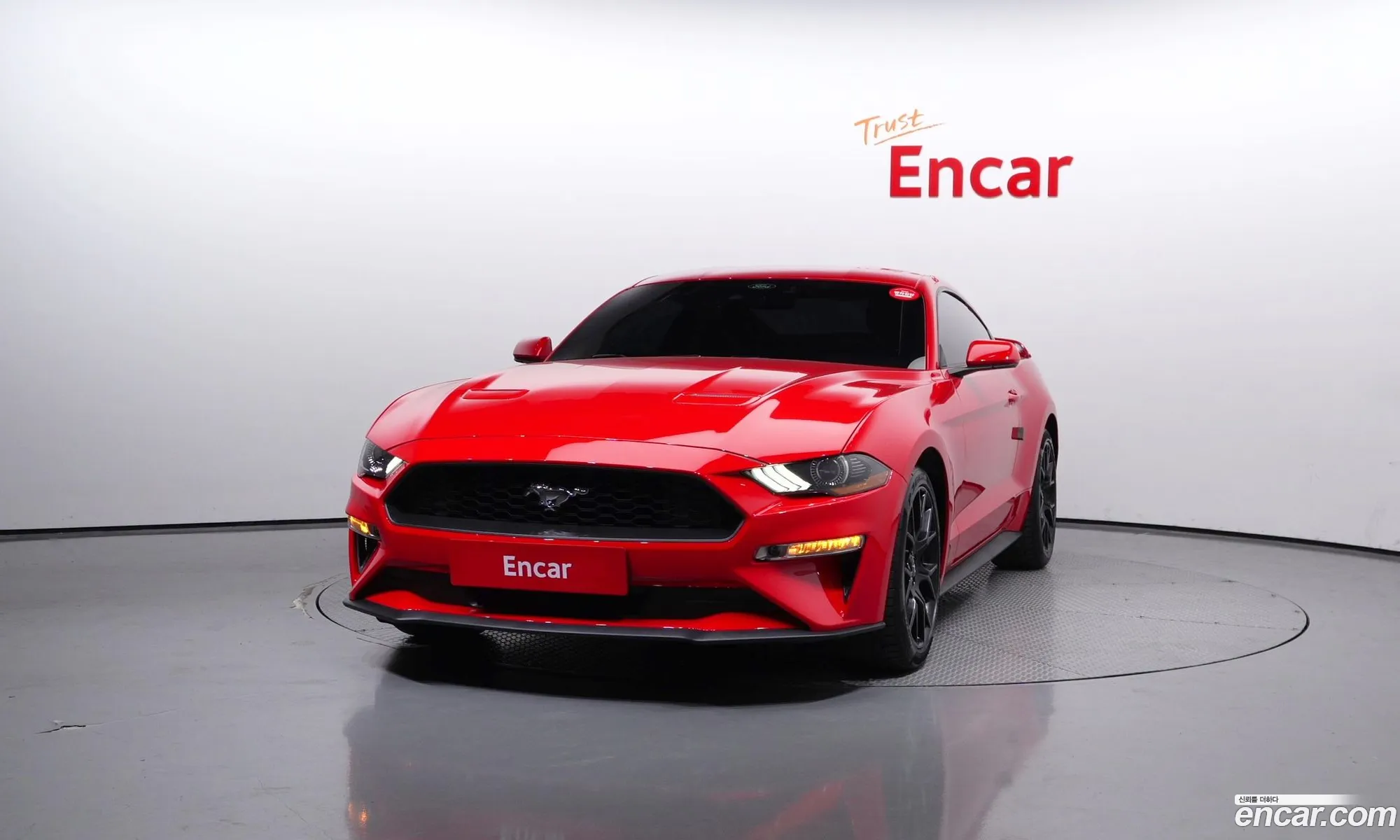 Ford Mustang Vi Coupe 2022 - фотография 15170049
