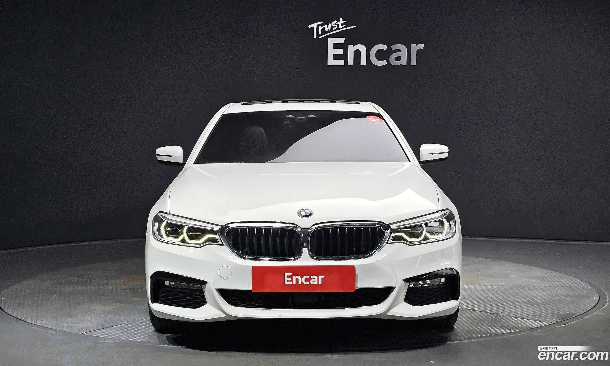 BMW 5Er 520D M Sport Plus 2017 - фотография 119182