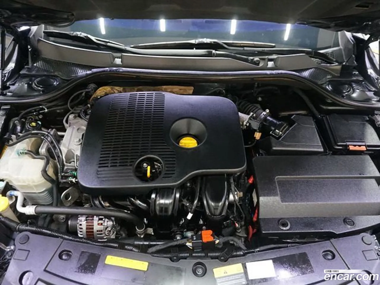 Renault Samsung Sm5 16Tce 2015 - фотография 4357894