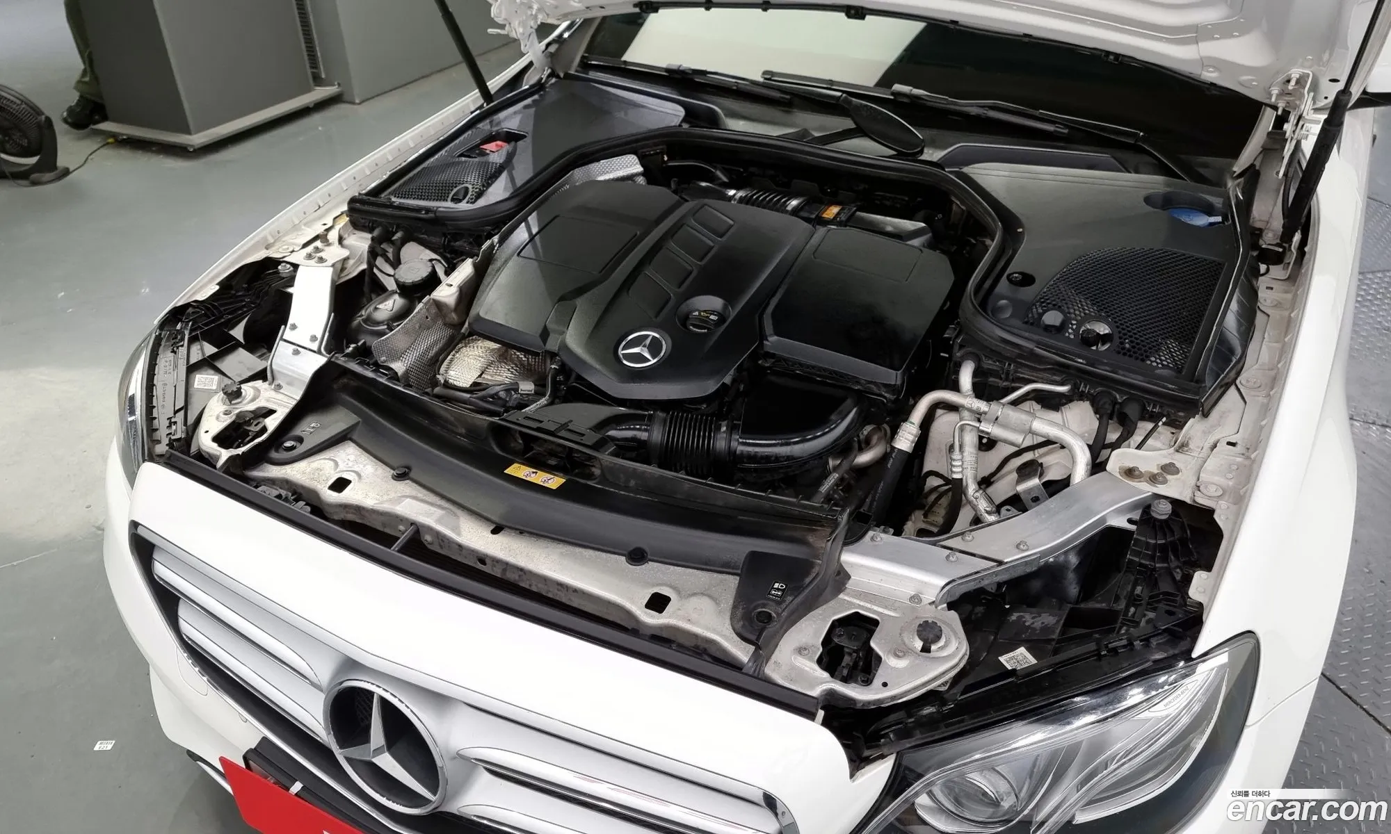 Mercedes-Benz E-Klasse V W213 S213 C238 E220D Avant Garde 2019 - фотография 13811857