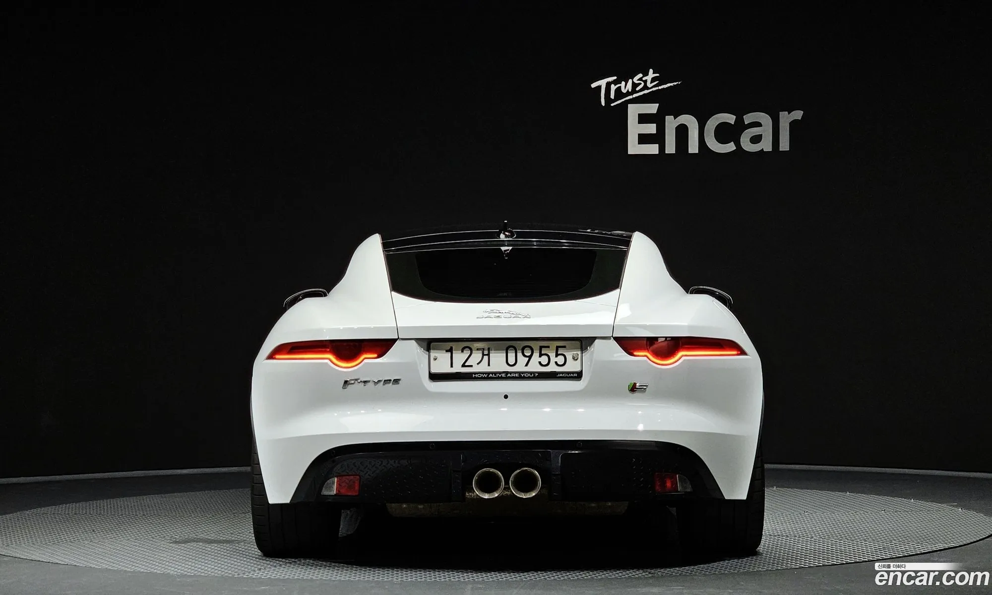Jaguar F-Type 30 S Coupe 2015 - фотография 3930895