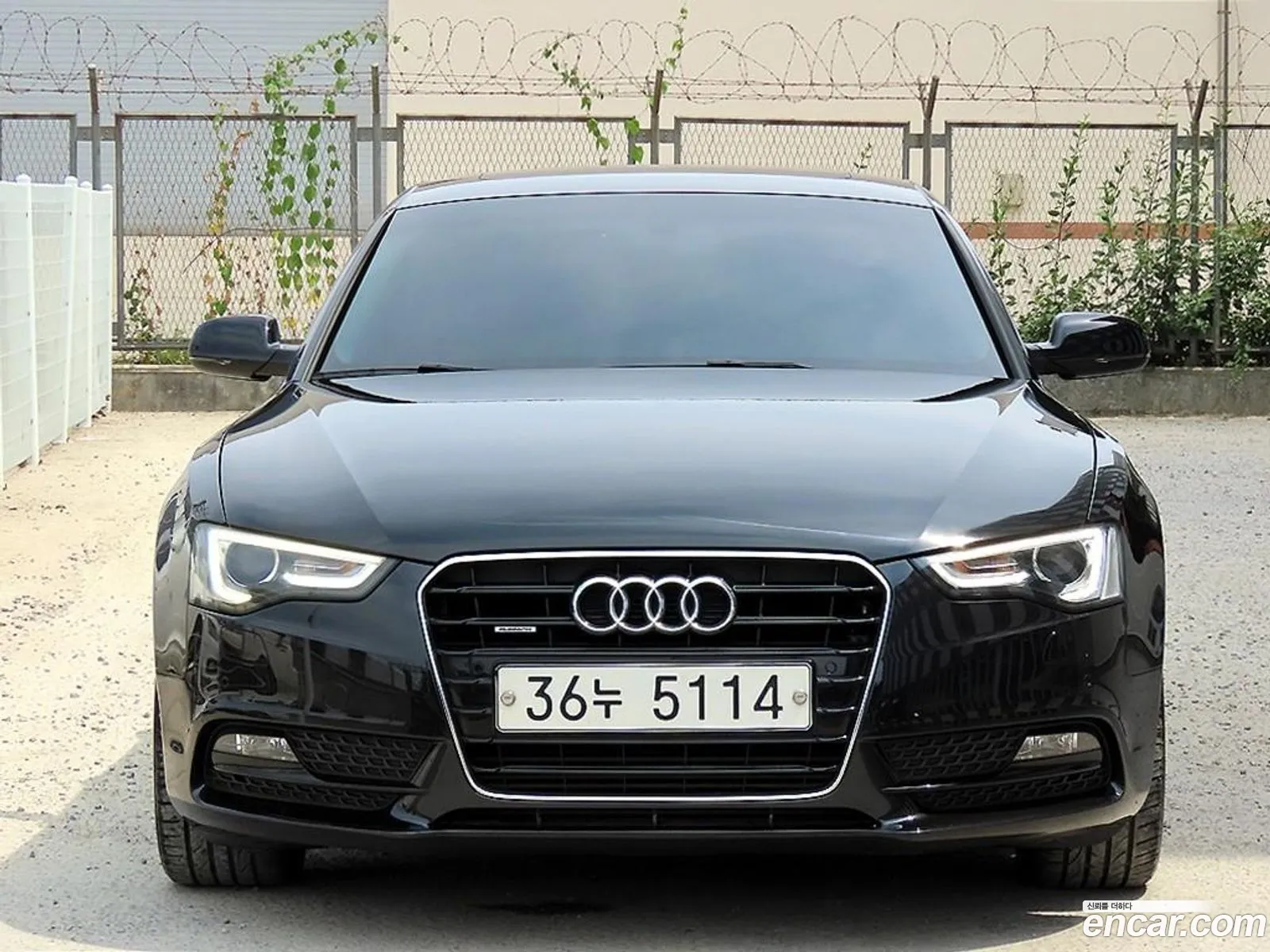 Audi A5 I 8T 20 Tdi Quattro Sportback 2014 - фотография 8838604