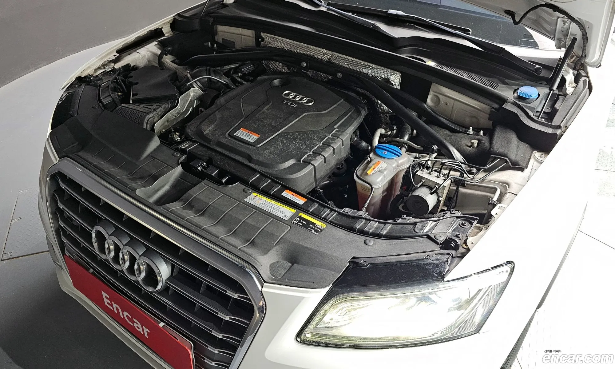 Audi Q5 I 8R 35 Tdi Quattro Dynamic 2015 - фотография 8793297