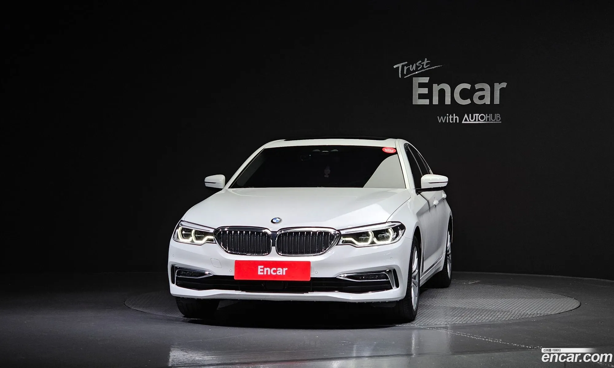BMW 5Er Vii G30G31 520I Luxury 2020 - фотография 119170