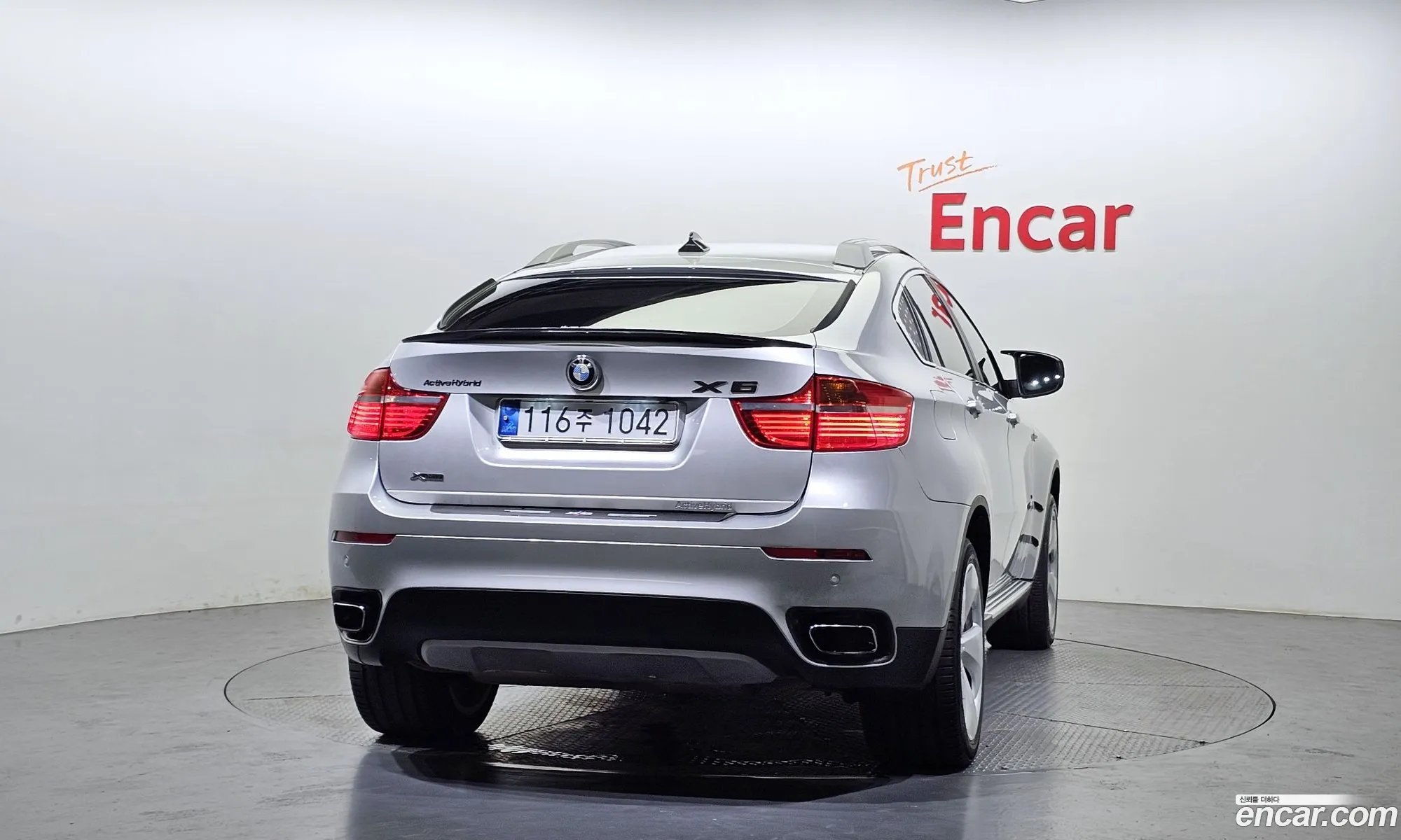 BMW X6 I E71 Active Hybrid 2010 - фотография 121889