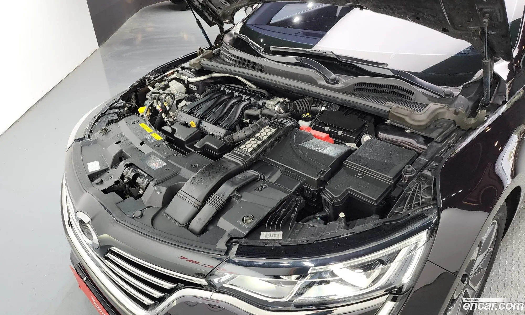 Renault Samsung Sm6 20 Lpe Re For The Disabled 2019 - фотография 12609246