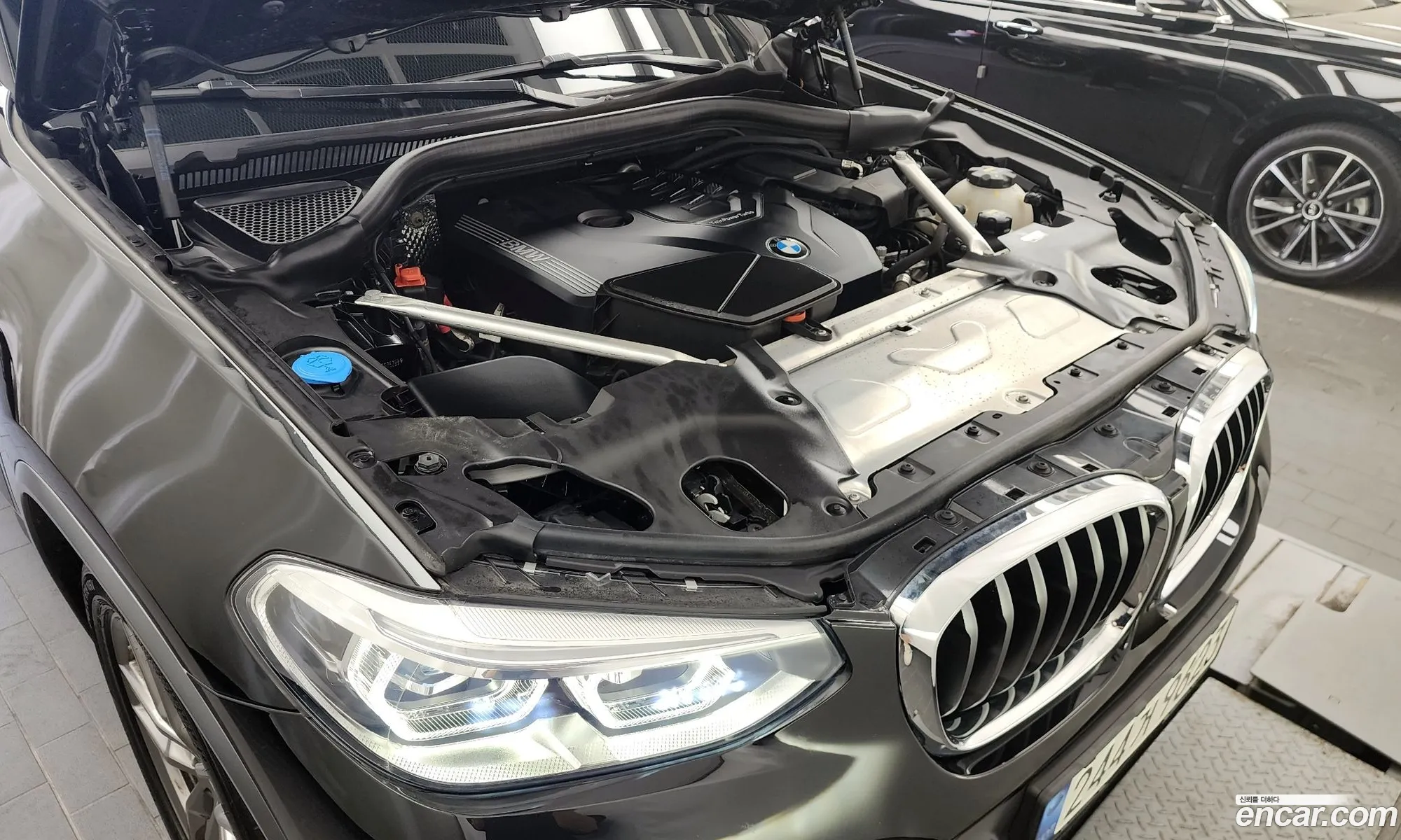 BMW X4 Ii G02 xDrive20I M Sports 2021 - фотография 16489482