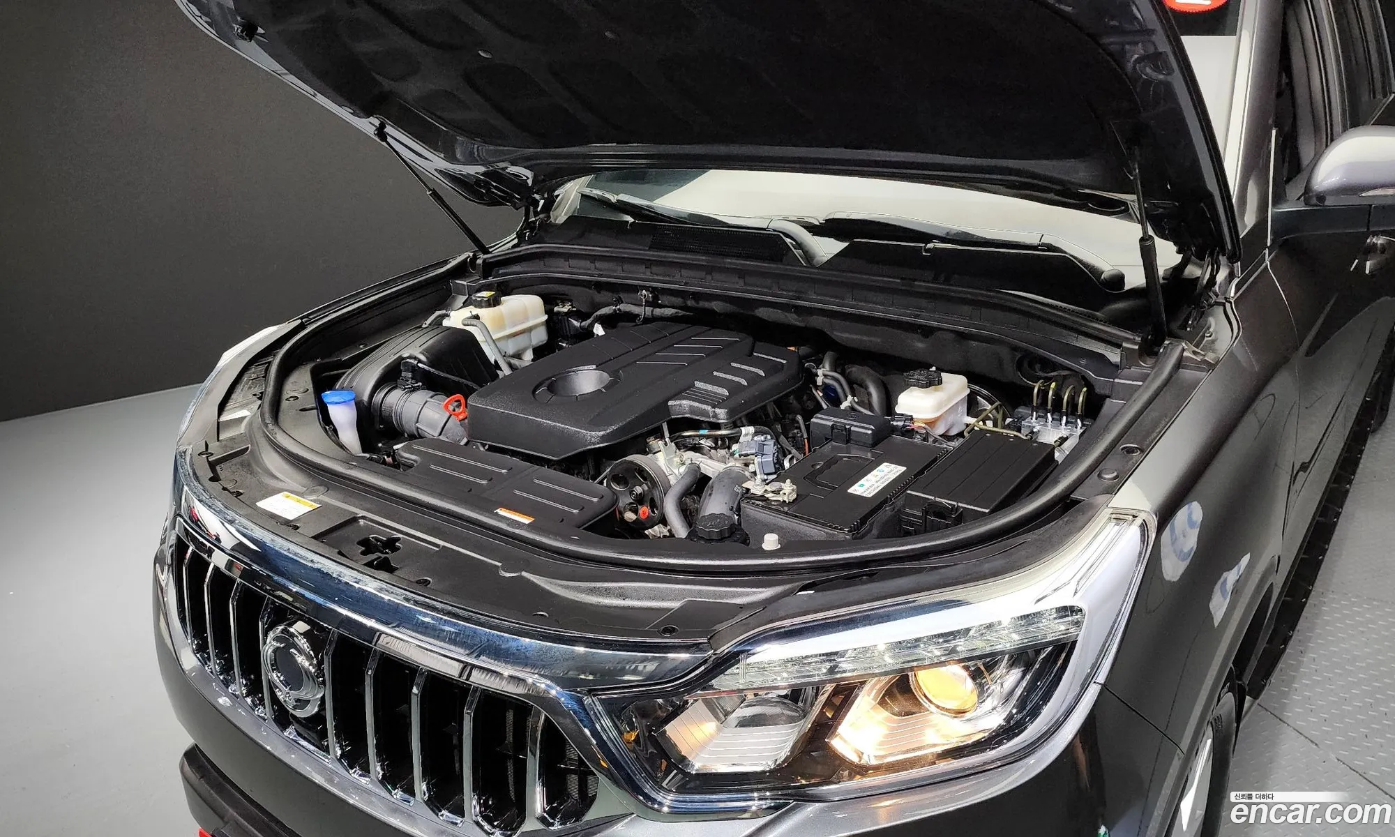 Ssangyong Rexton Iv Diesel 22 2Wd 2019 - фотография 19052689