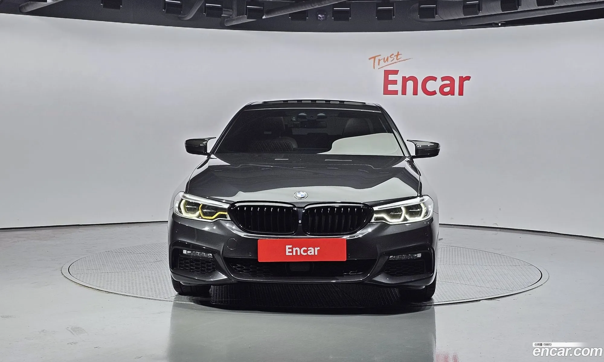 BMW 5Er 520D M Sport Plus 2017 - фотография 124921