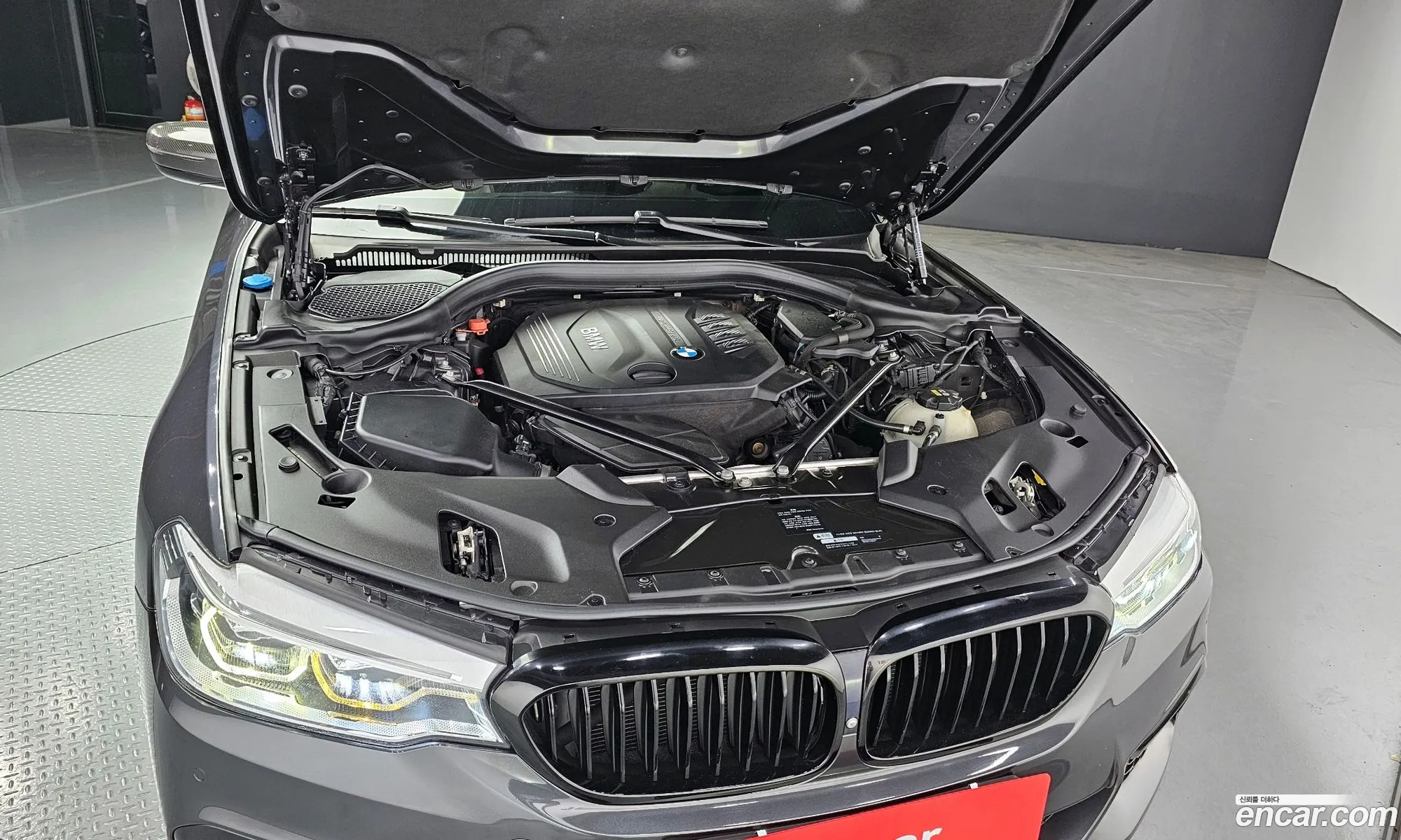 BMW 5Er 520D M Sport Plus 2017 - фотография 124924