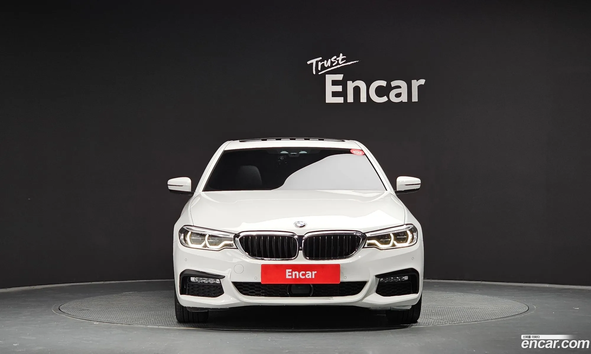BMW 5Er 520D M Sport Plus 2017 - фотография 98947