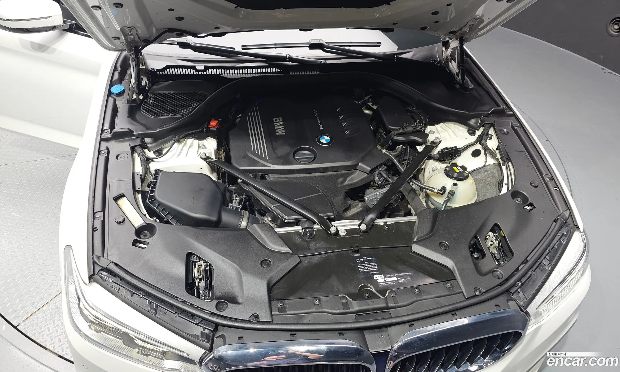 BMW 5Er 520D M Sport Plus 2017 - фотография 98950