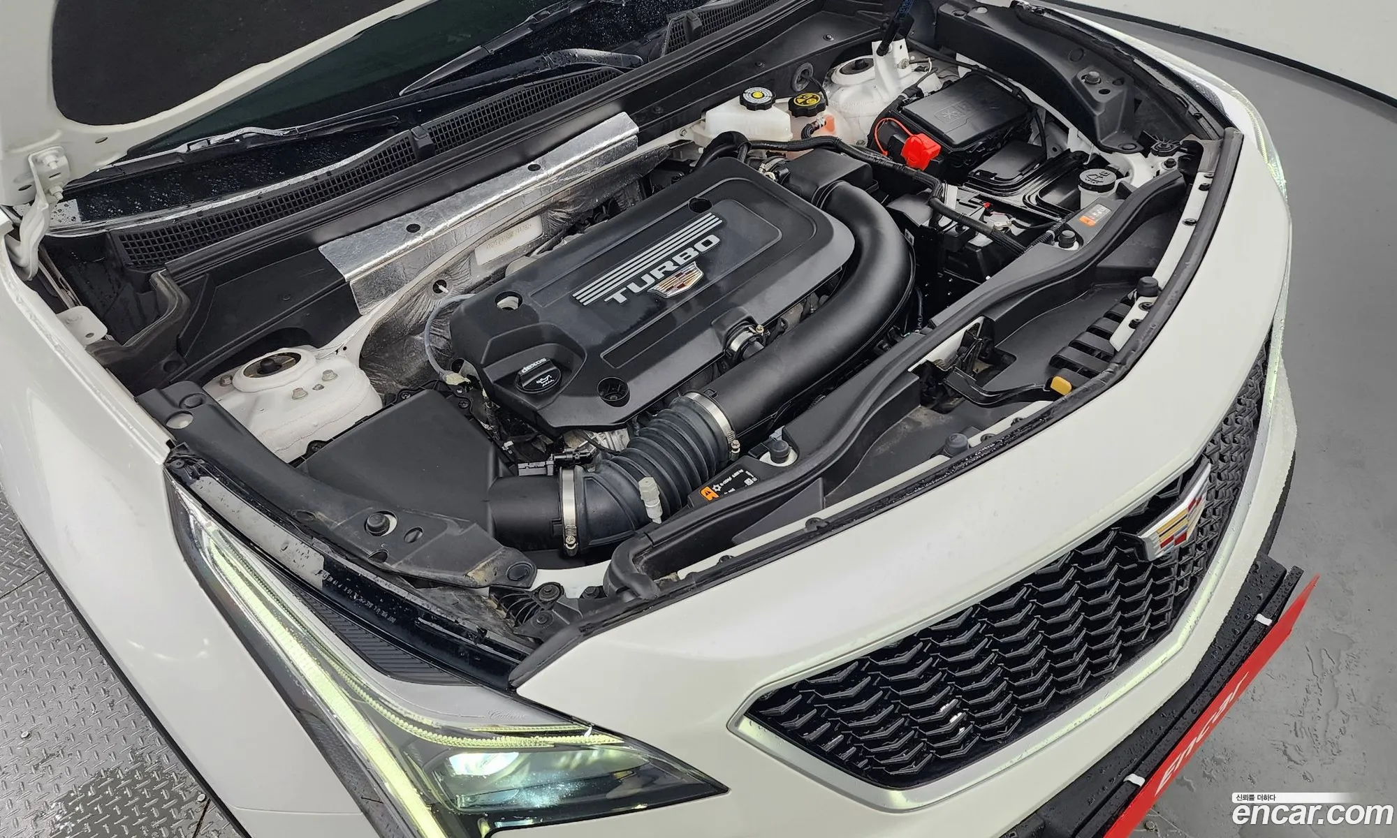 Cadillac Xt4 I 20 Sports Awd 2021 - фотография 4558249