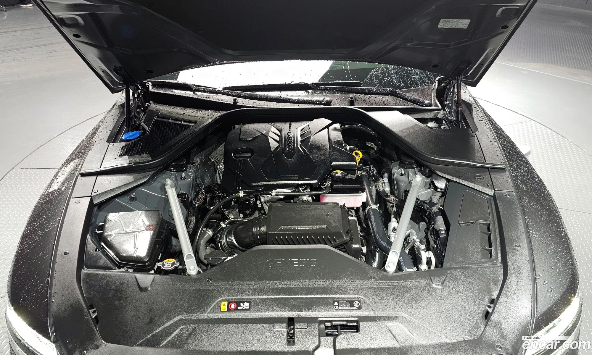 Genesis G80 Gasoline 25 Turbo 2Wd 2023 - фотография 119595