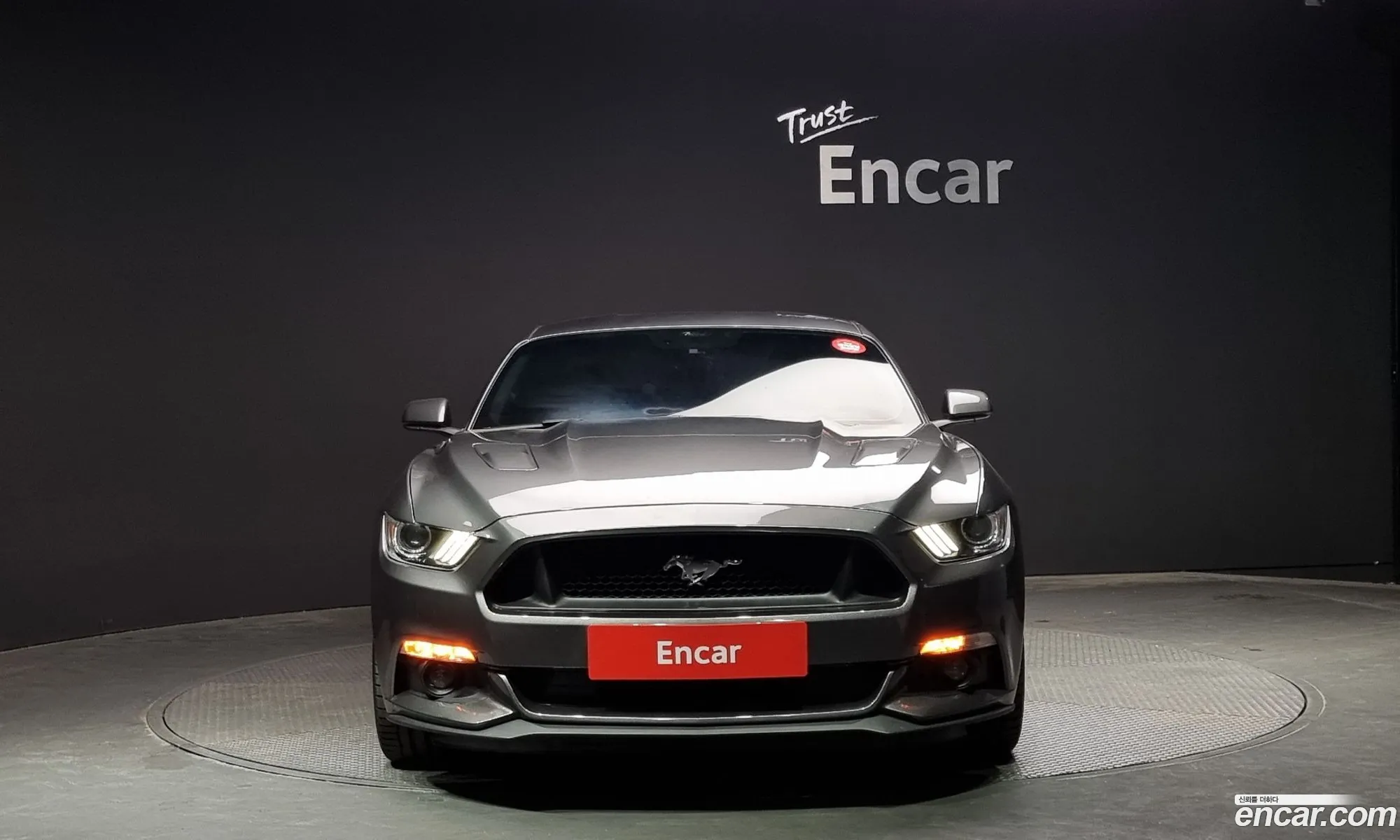 Ford Mustang Vi Gt Coupe 2017 - фотография 15170097