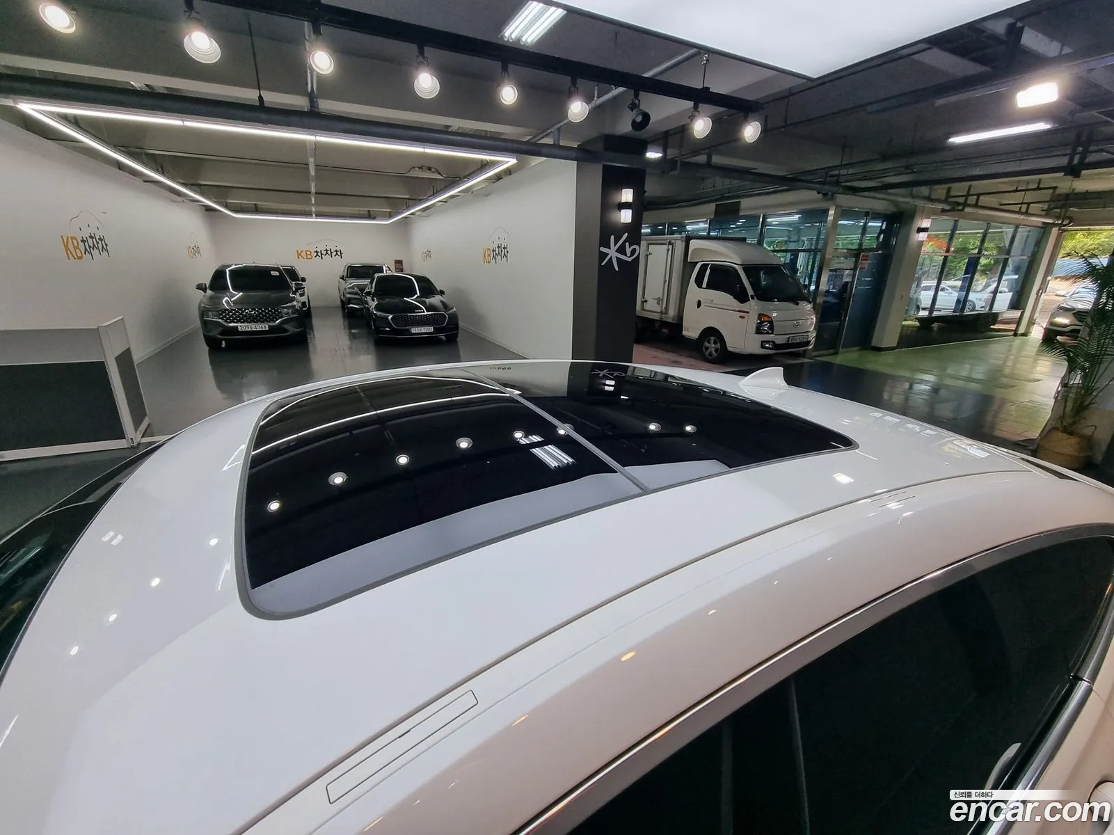 Korex Auto Trade - фотография 15083813