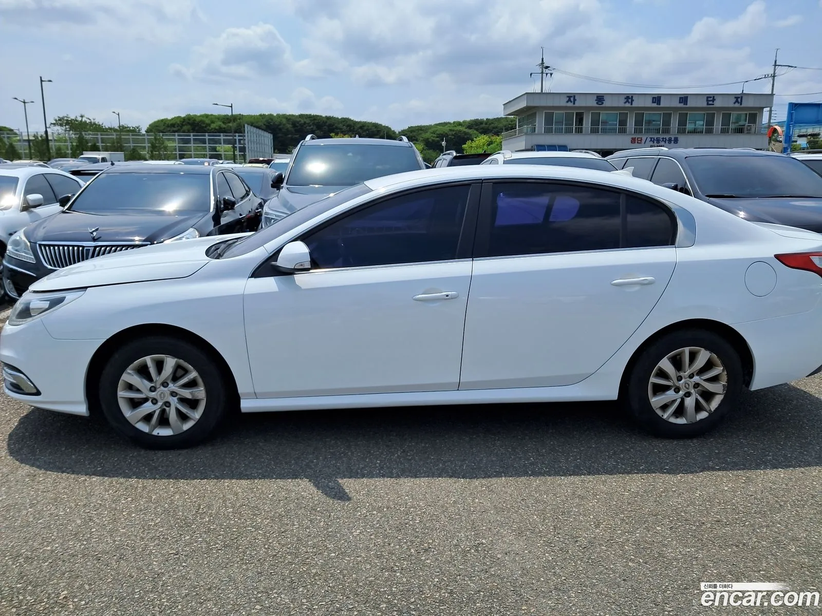 Renault Samsung Sm5 Pe Plus 2017 - фотография 15845887