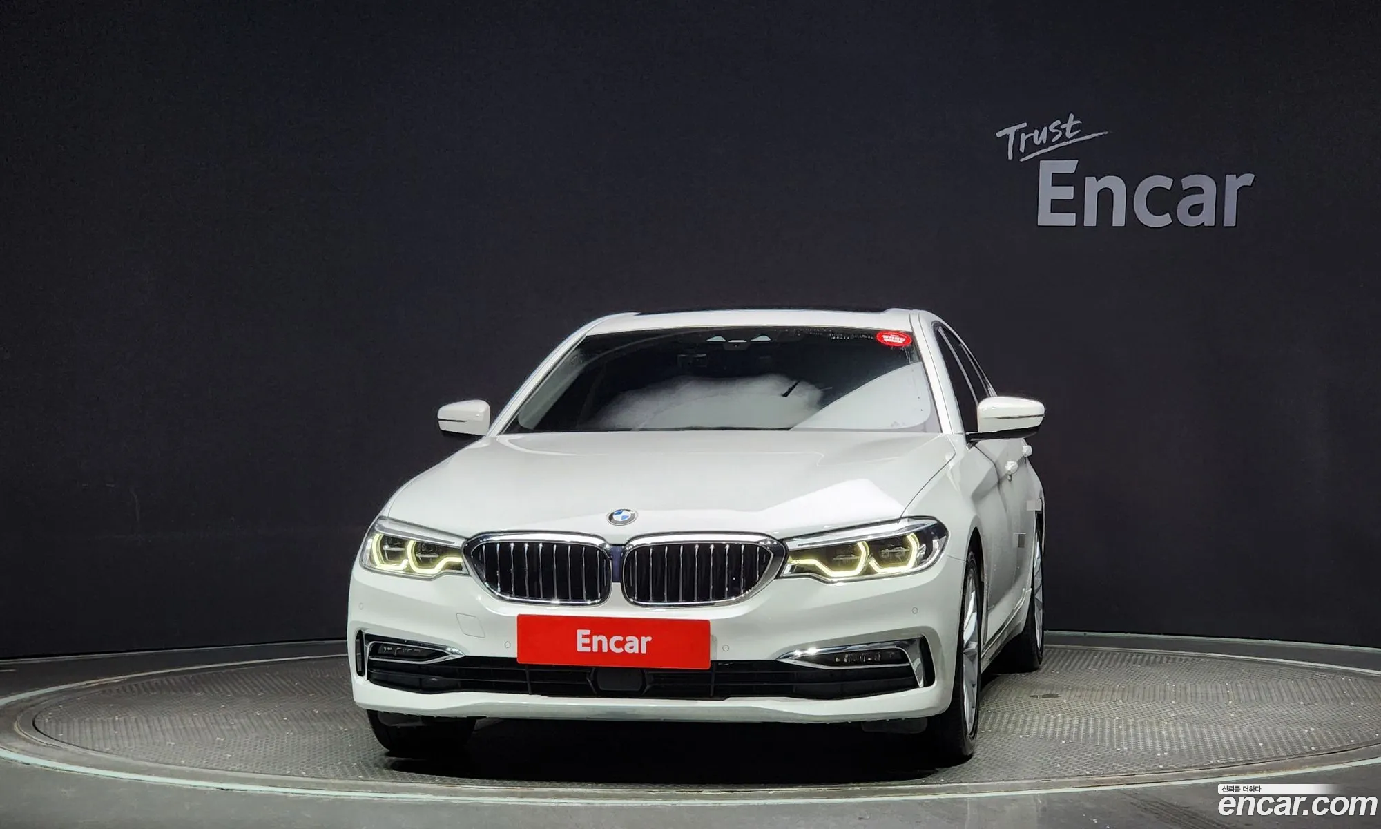 BMW 5Er Vii G30G31 520D Luxury Plus 2020 - фотография 720054