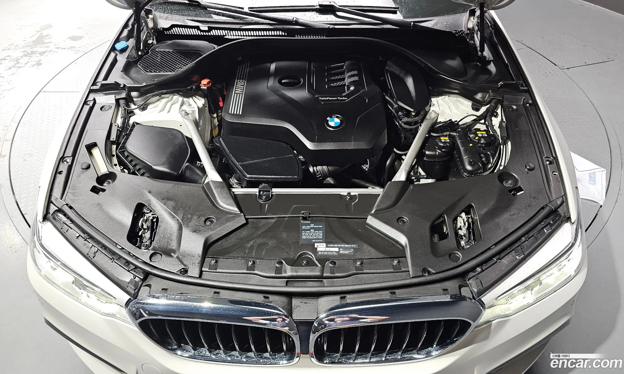 BMW 5Er Vii G30G31 520I M Sports 2020 - фотография 720130