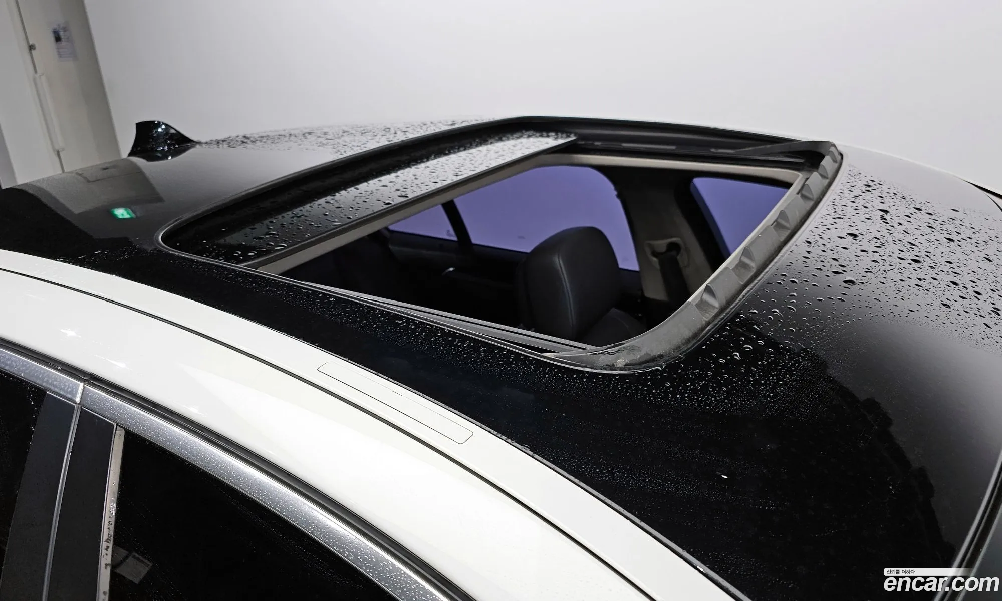 Korex Auto Trade - фотография 948733