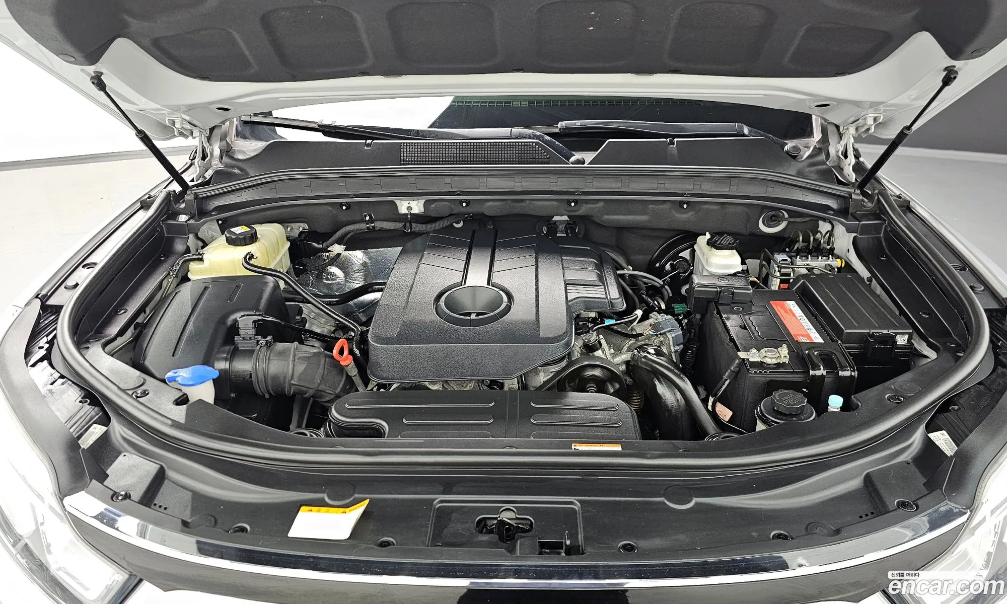 Ssangyong Rexton Diesel 22 4Wd 2018 - фотография 19052677