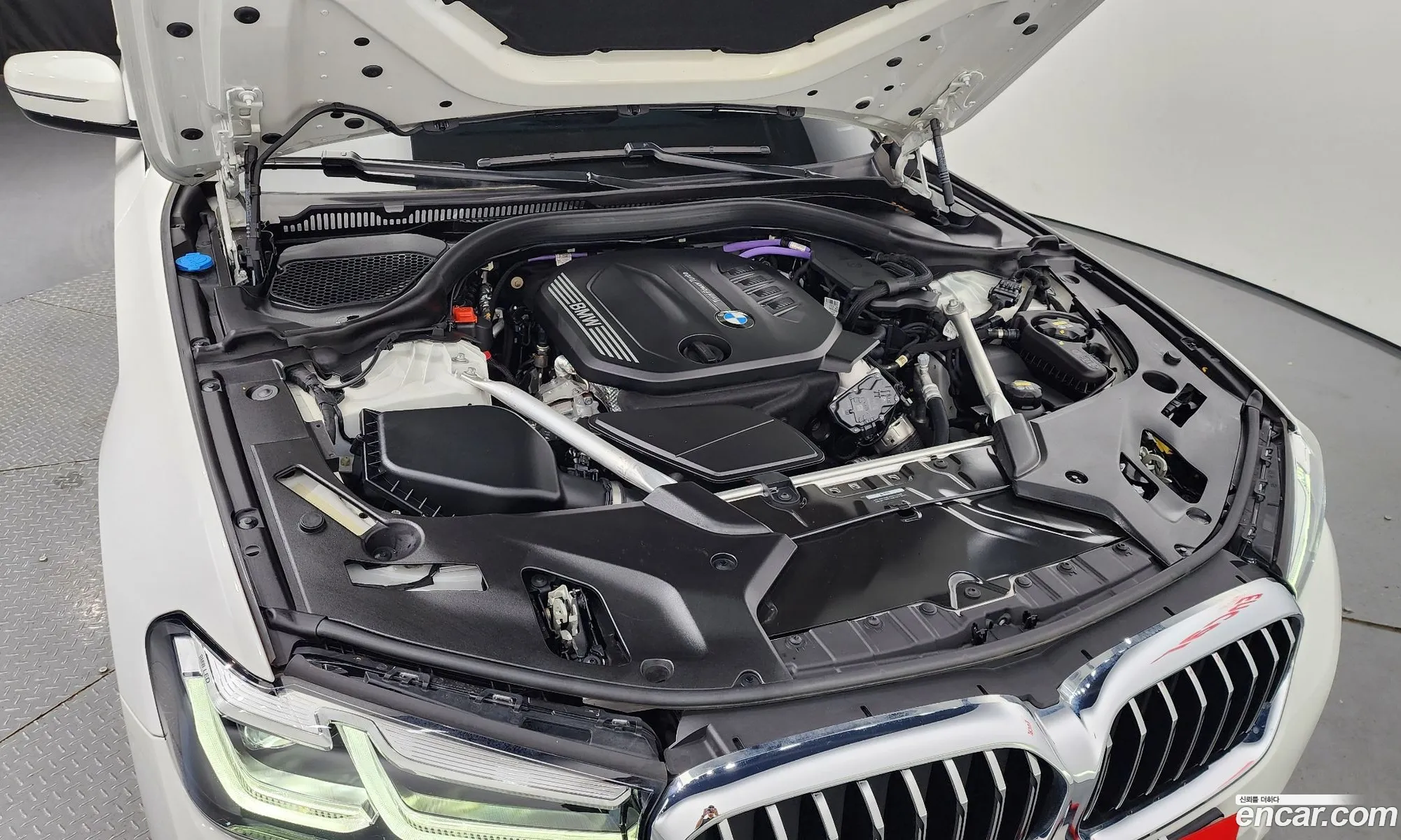 BMW 5Er Vii G30G31 523D Luxury 2021 - фотография 16381749