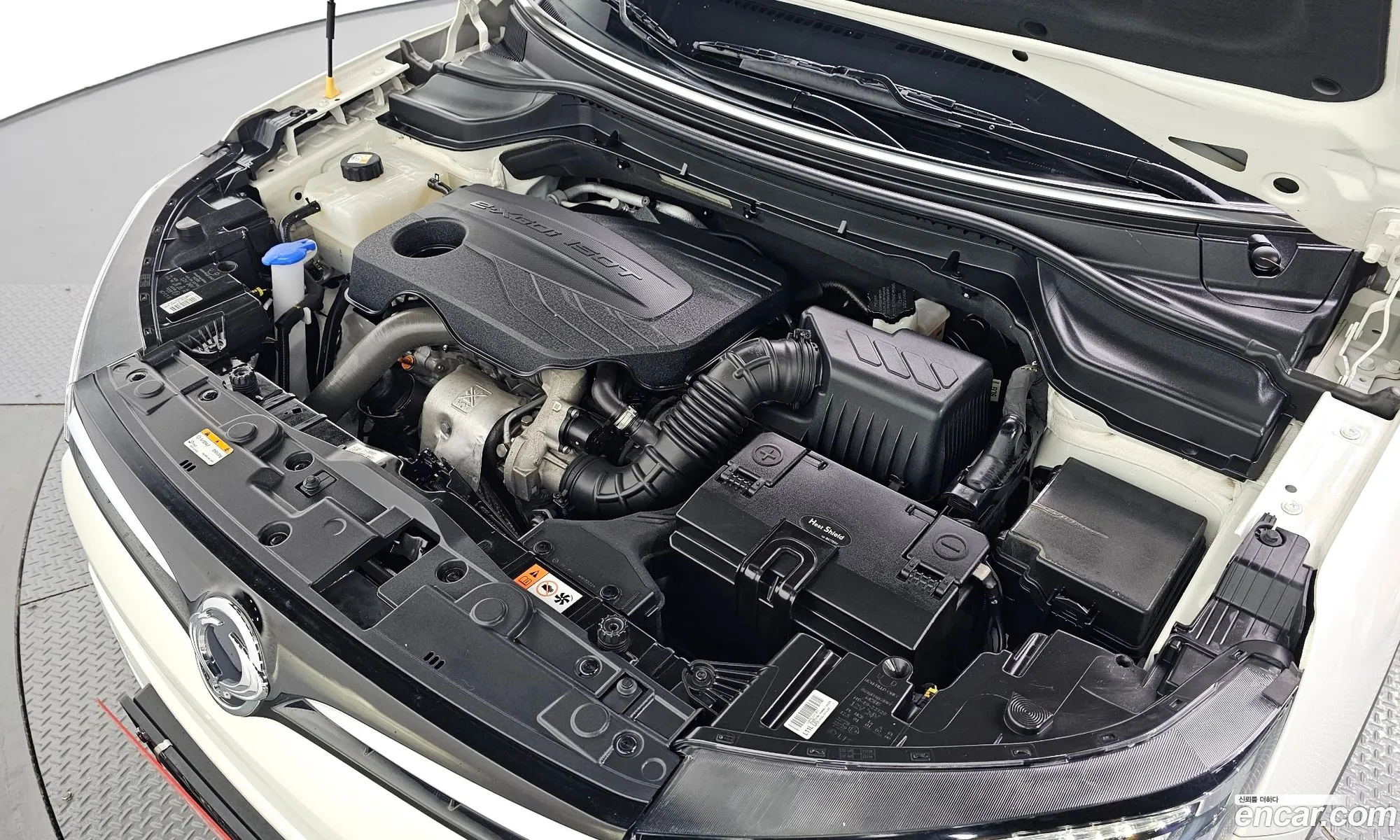 Ssangyong Tivoli Tivoli Gasoline 15 2Wd 2021 - фотография 19721922