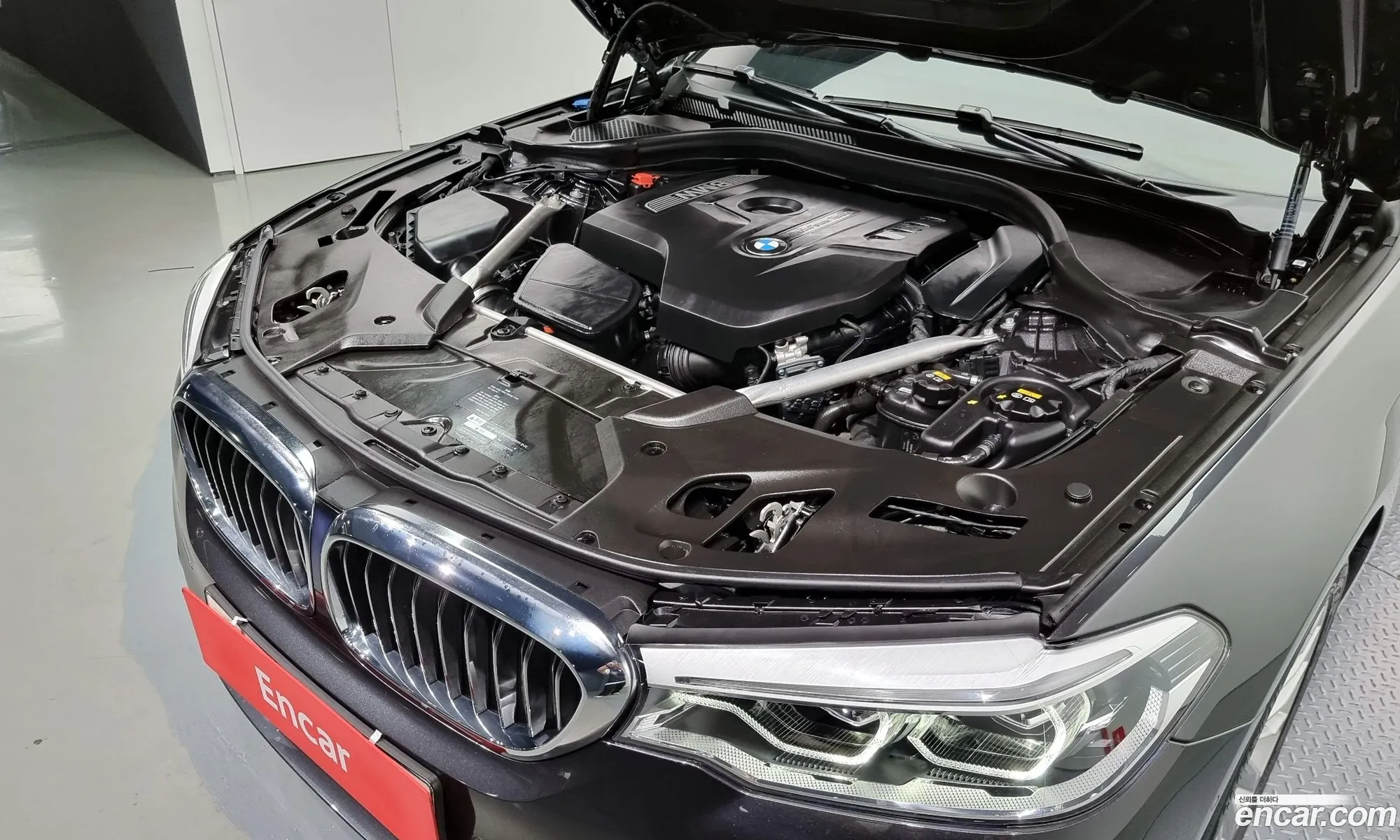 BMW 5Er Vii G30G31 530I xDrive Luxury Plus 2018 - фотография 16376864