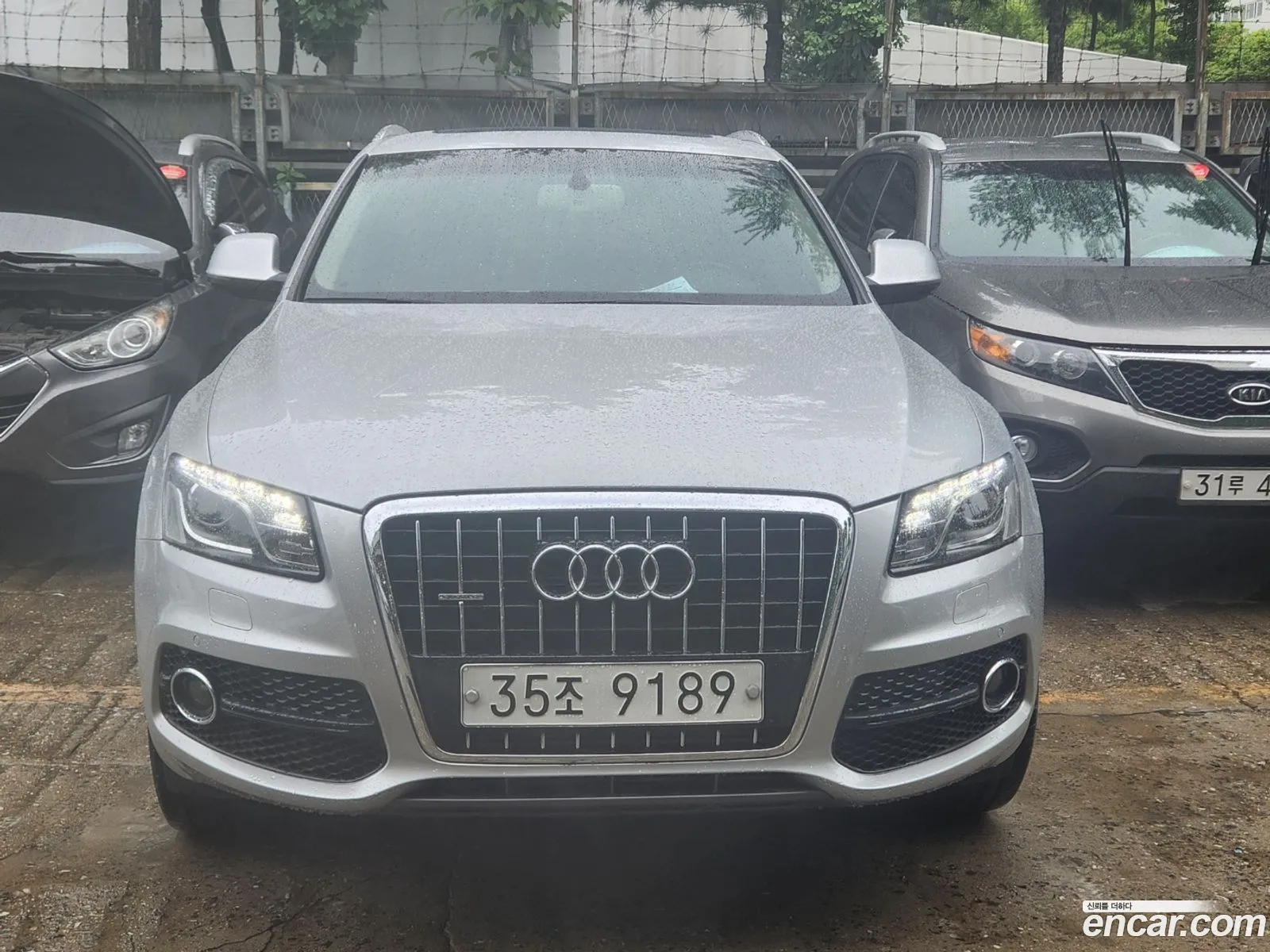 Audi Q5 I 8R 30 Tdi Quattro 2011 - фотография 8756866