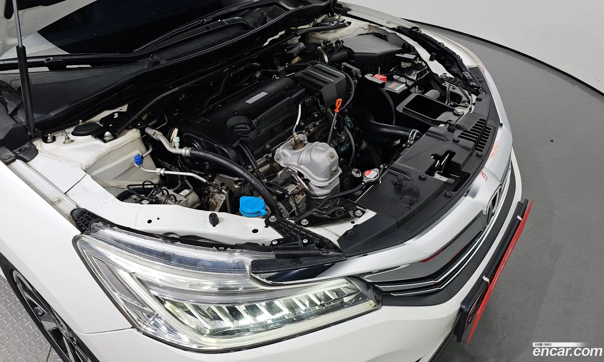 Honda Accord 24 2016 - фотография 12640512