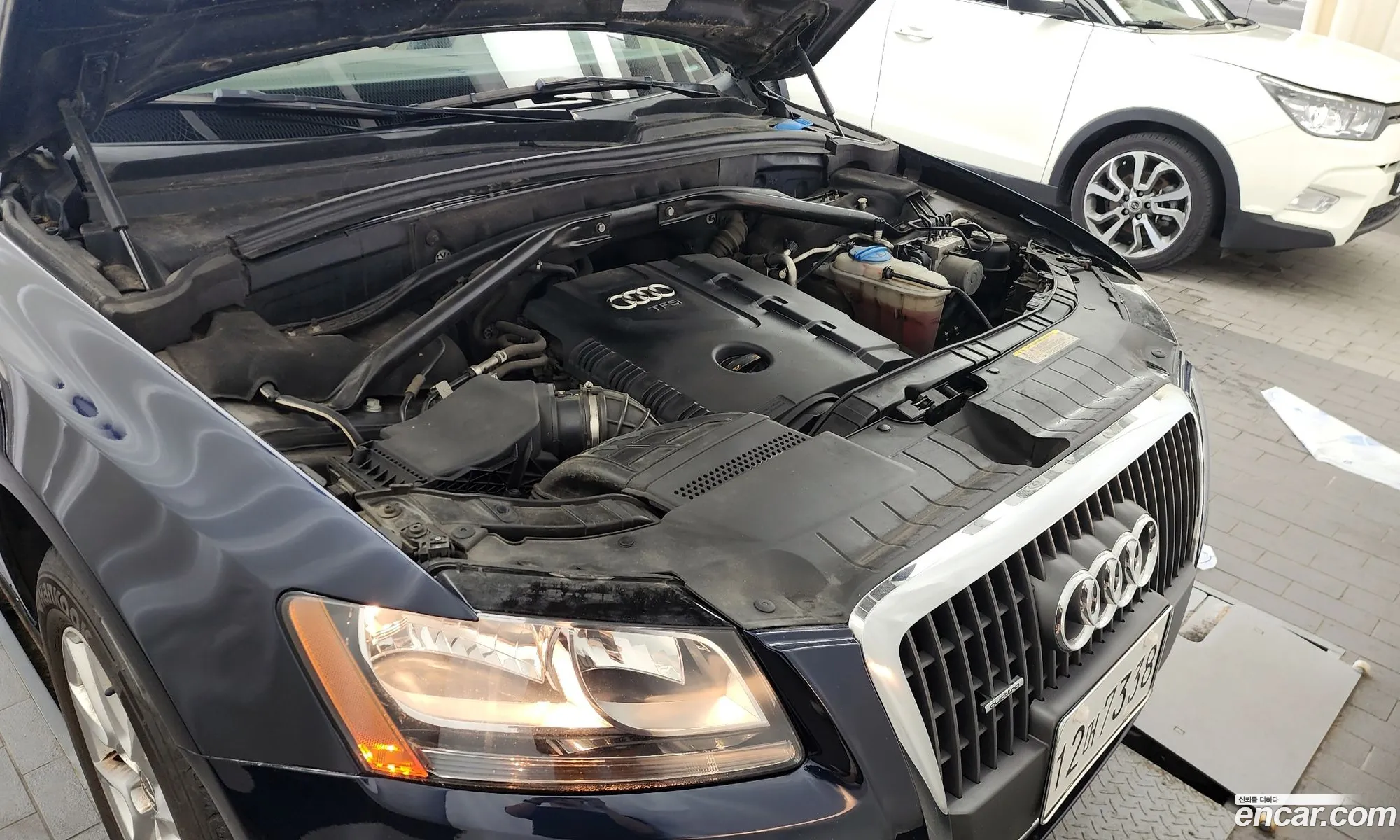 Audi Q5 I 8R 20 Tdi Quattro 2011 - фотография 8705183