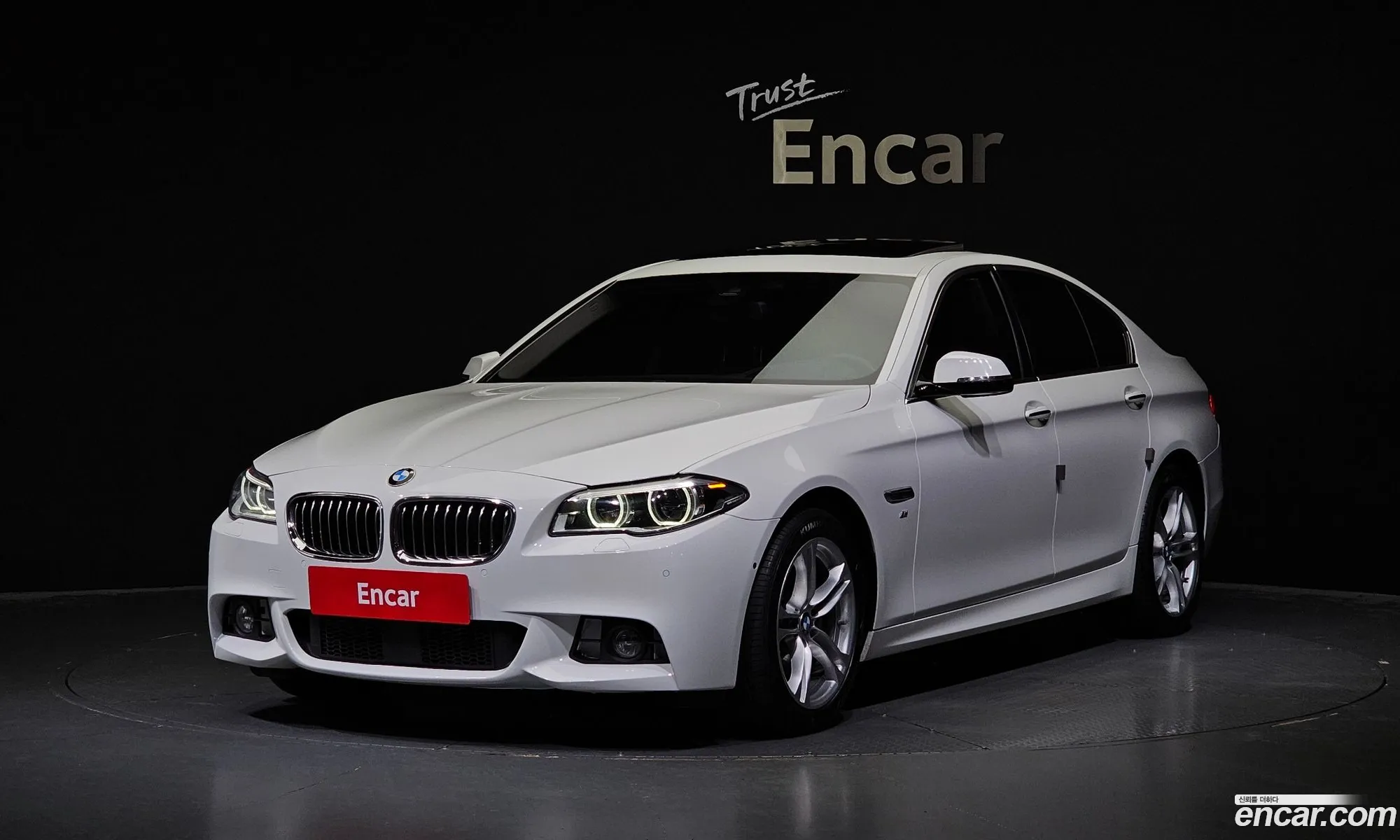 BMW 5Er 520D xDrive M Aerodynamics 2016 - фотография 16356503