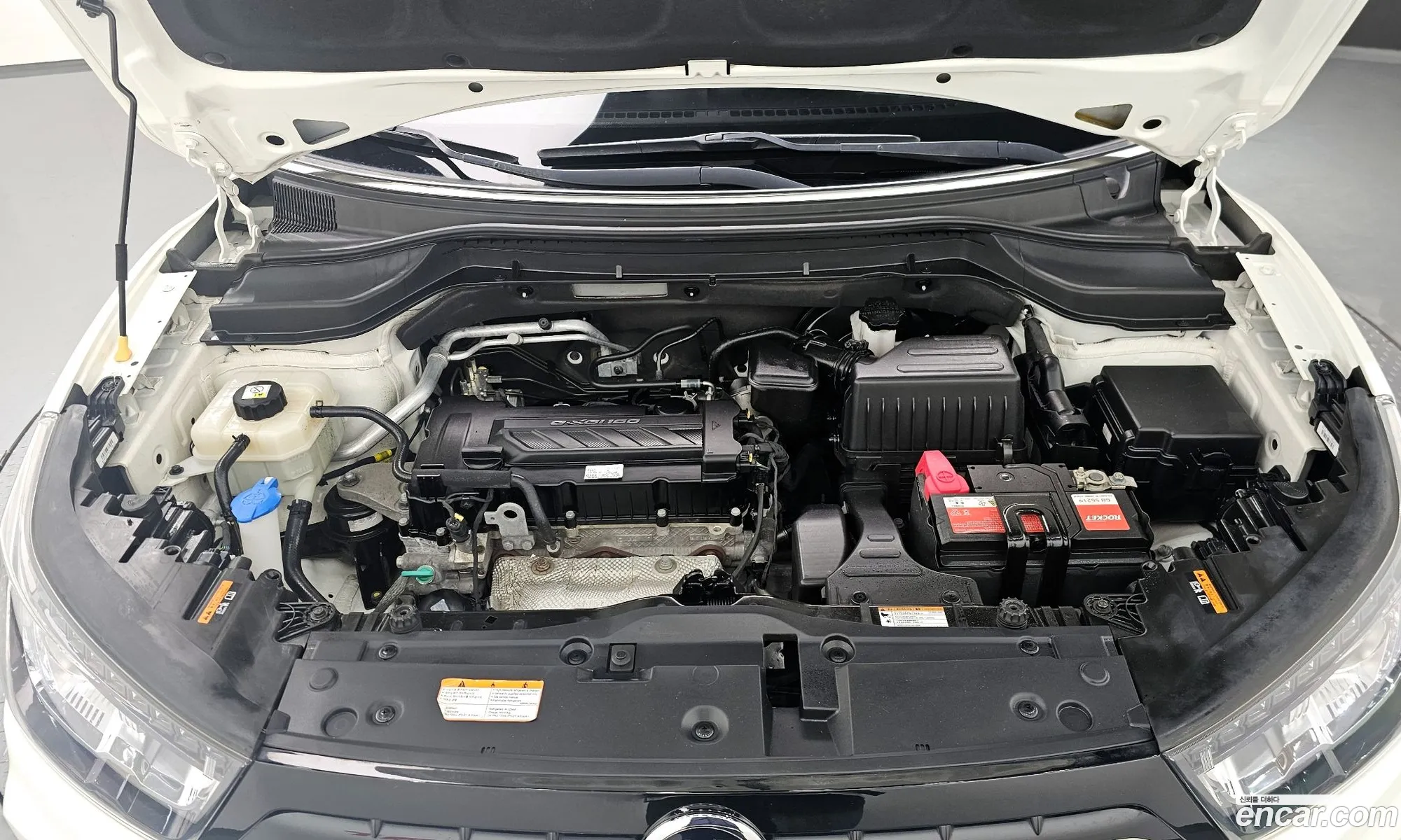 Ssangyong Tivoli Tivoli Gear Plus 2Wd 2019 - фотография 19602490