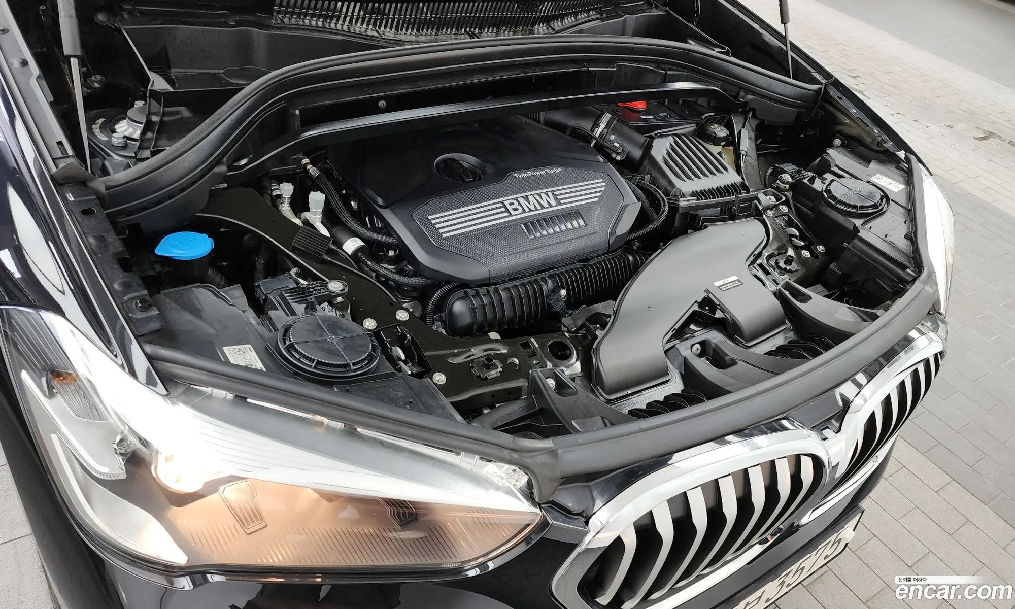 BMW X1 Ii F48 xDrive 20I Xline 2022 - фотография 16381822