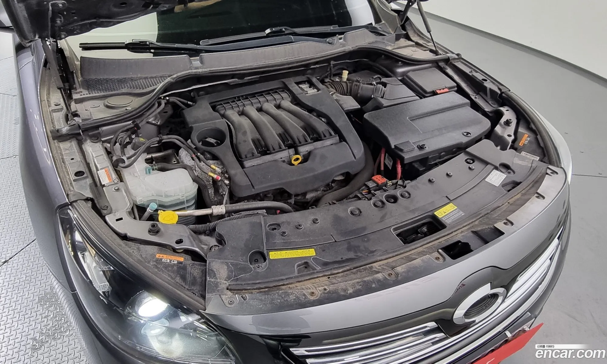 Renault Samsung Sm7 Lpli 20 Lpe For The Disabled 2017 - фотография 2736923