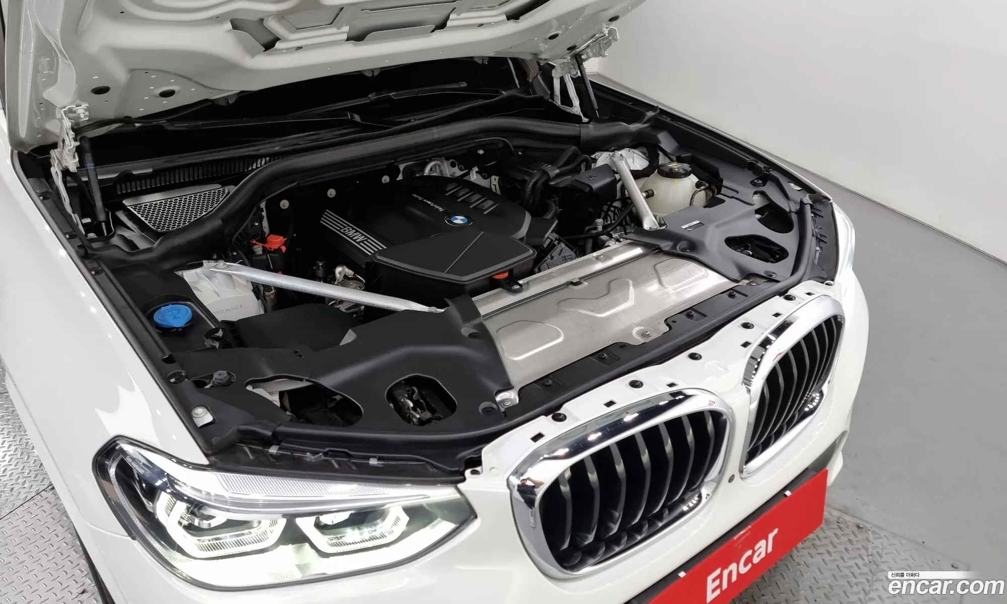 BMW X4 Ii G02 xDrive20D M Sports 2020 - фотография 16408572