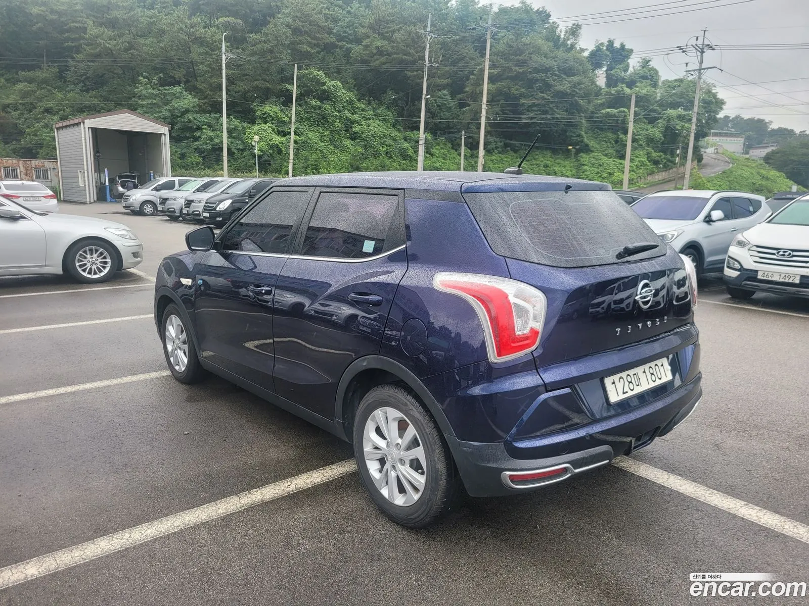 Ssangyong Tivoli Tivoli Diesel Tx 4Wd 2019 - фотография 19602477